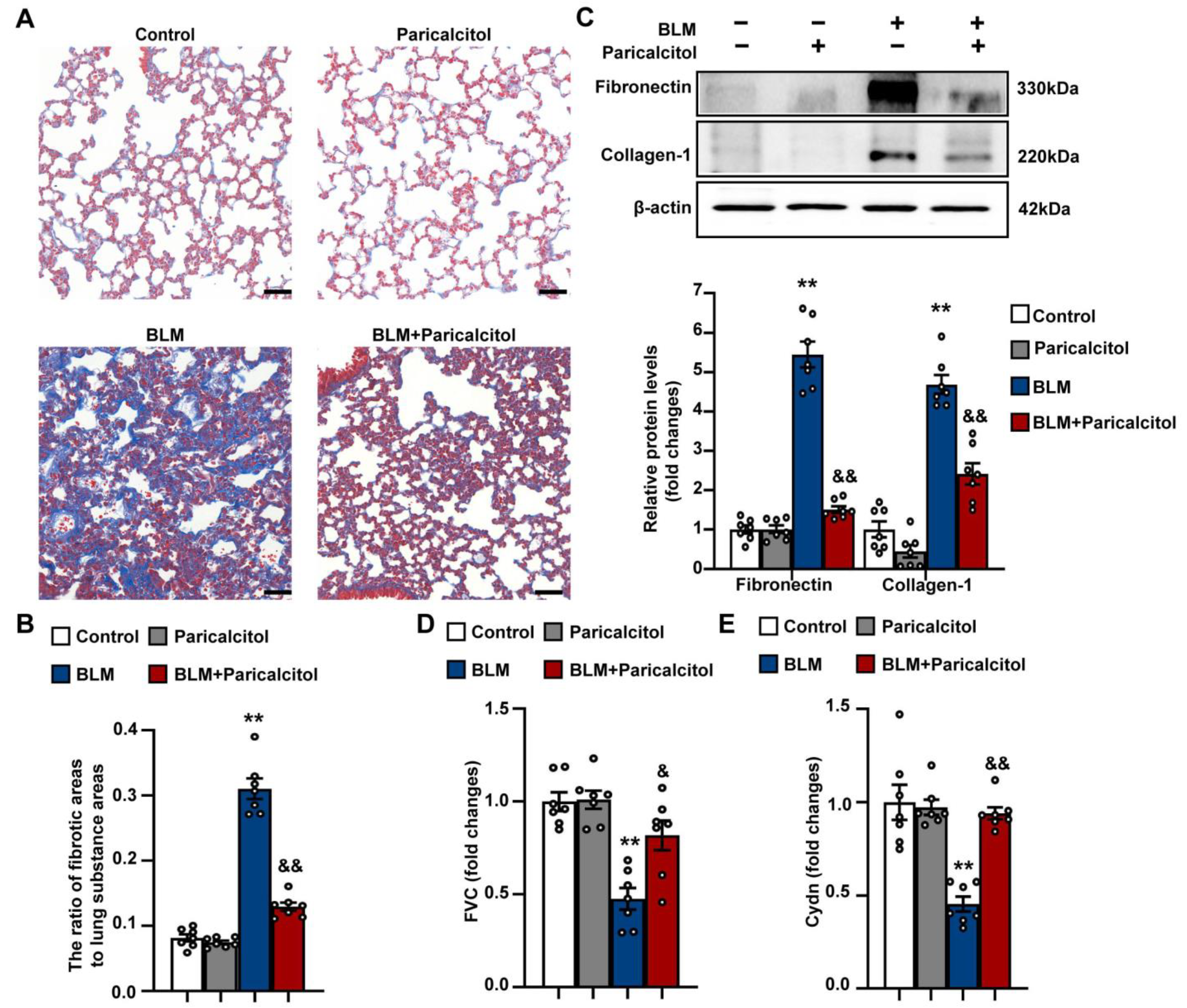 Antioxidants 12 01634 g009