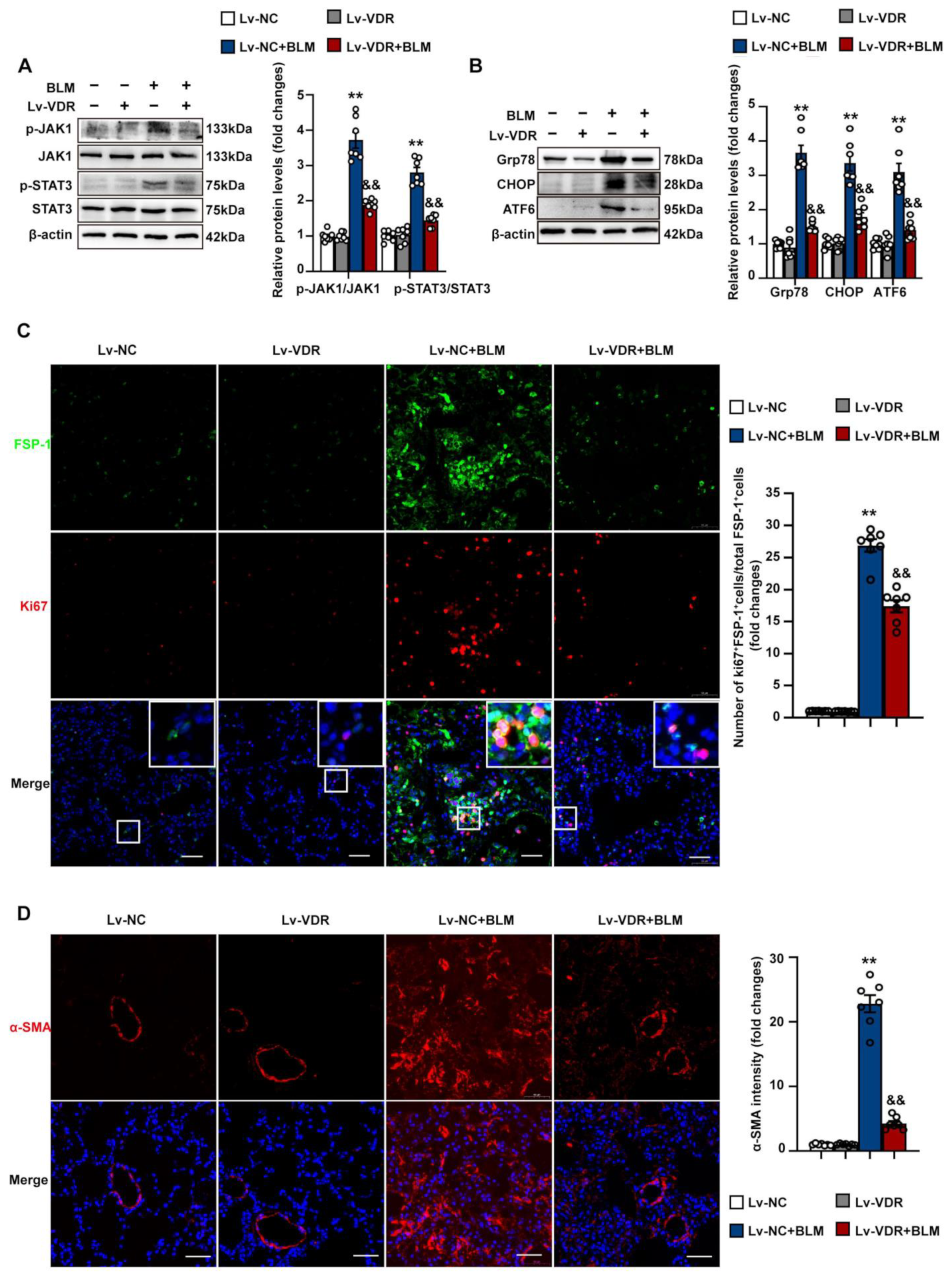 Antioxidants 12 01634 g010