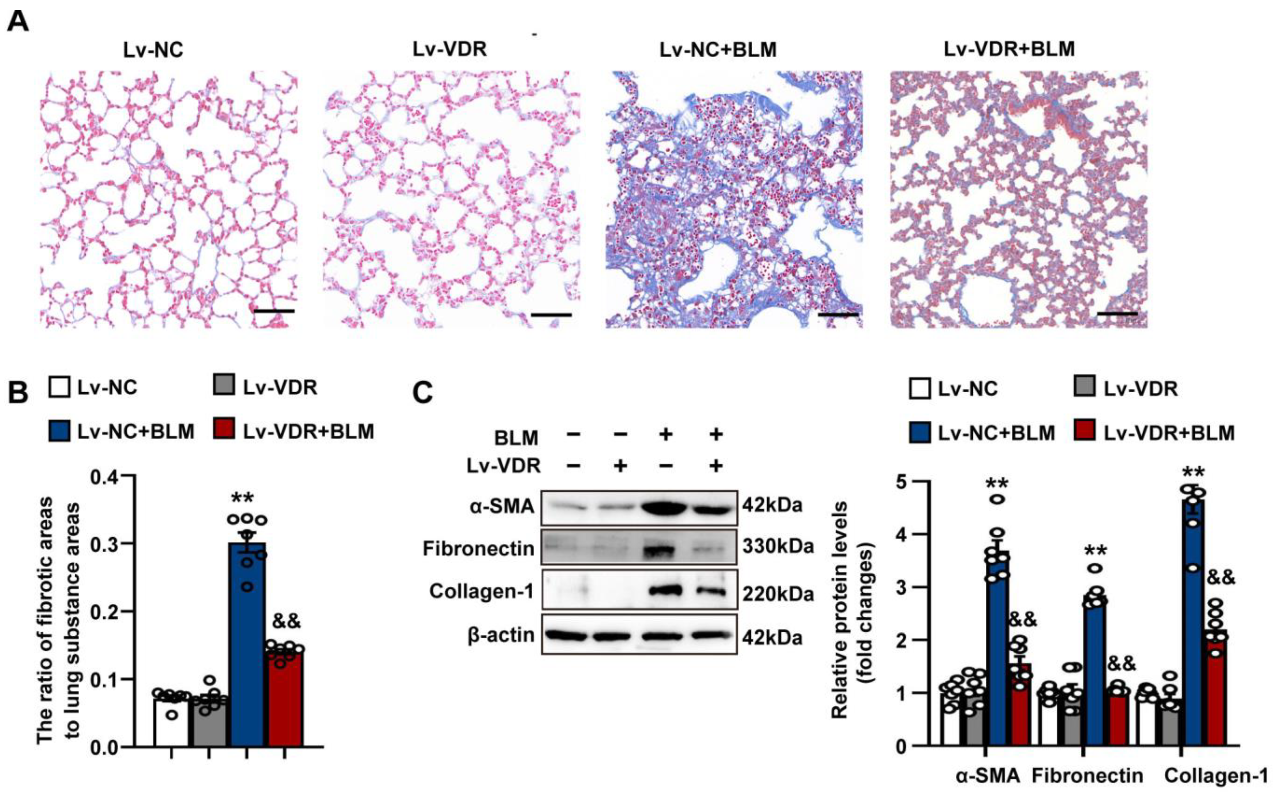Antioxidants 12 01634 g011