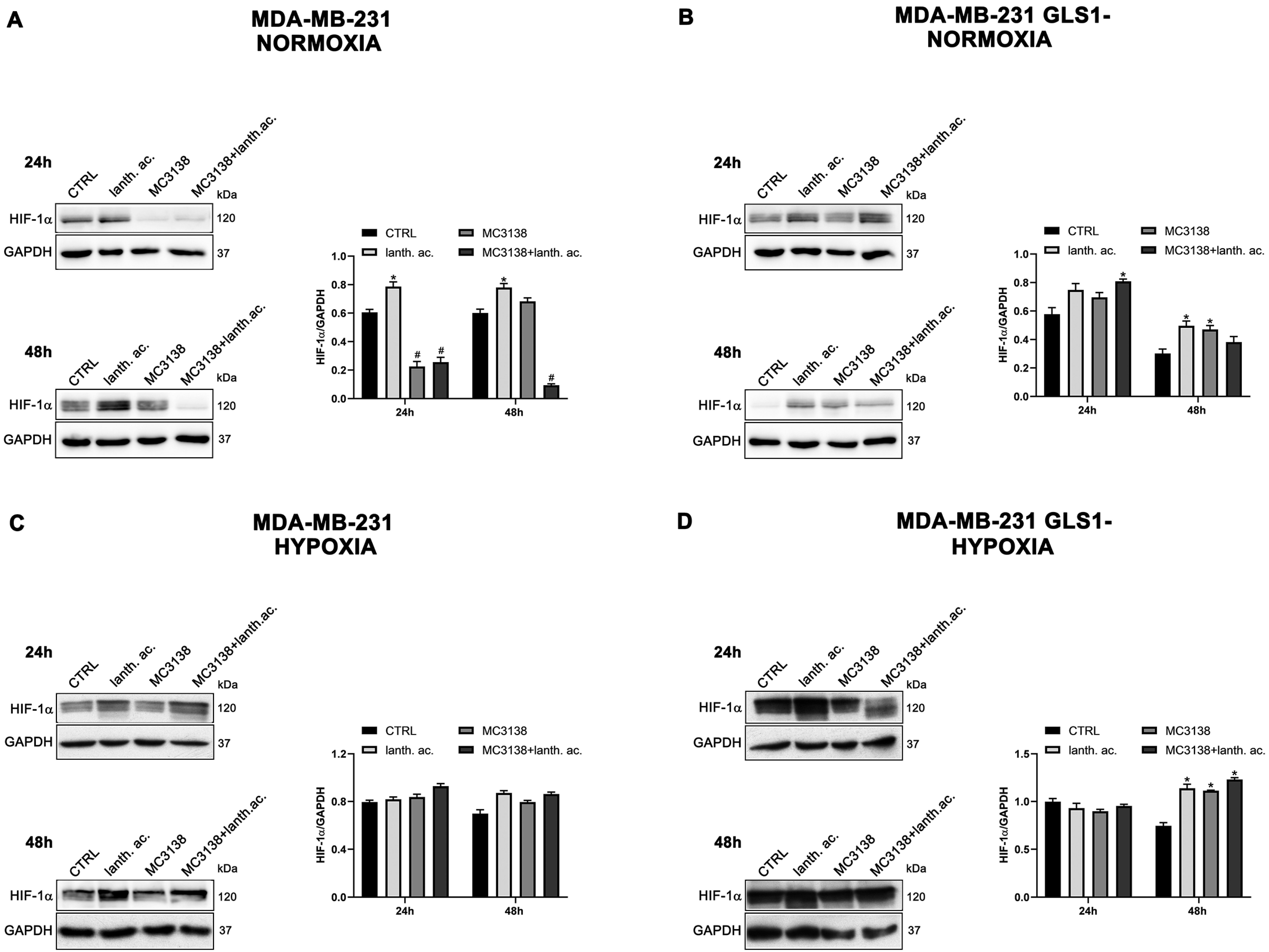 Antioxidants 12 01635 g003