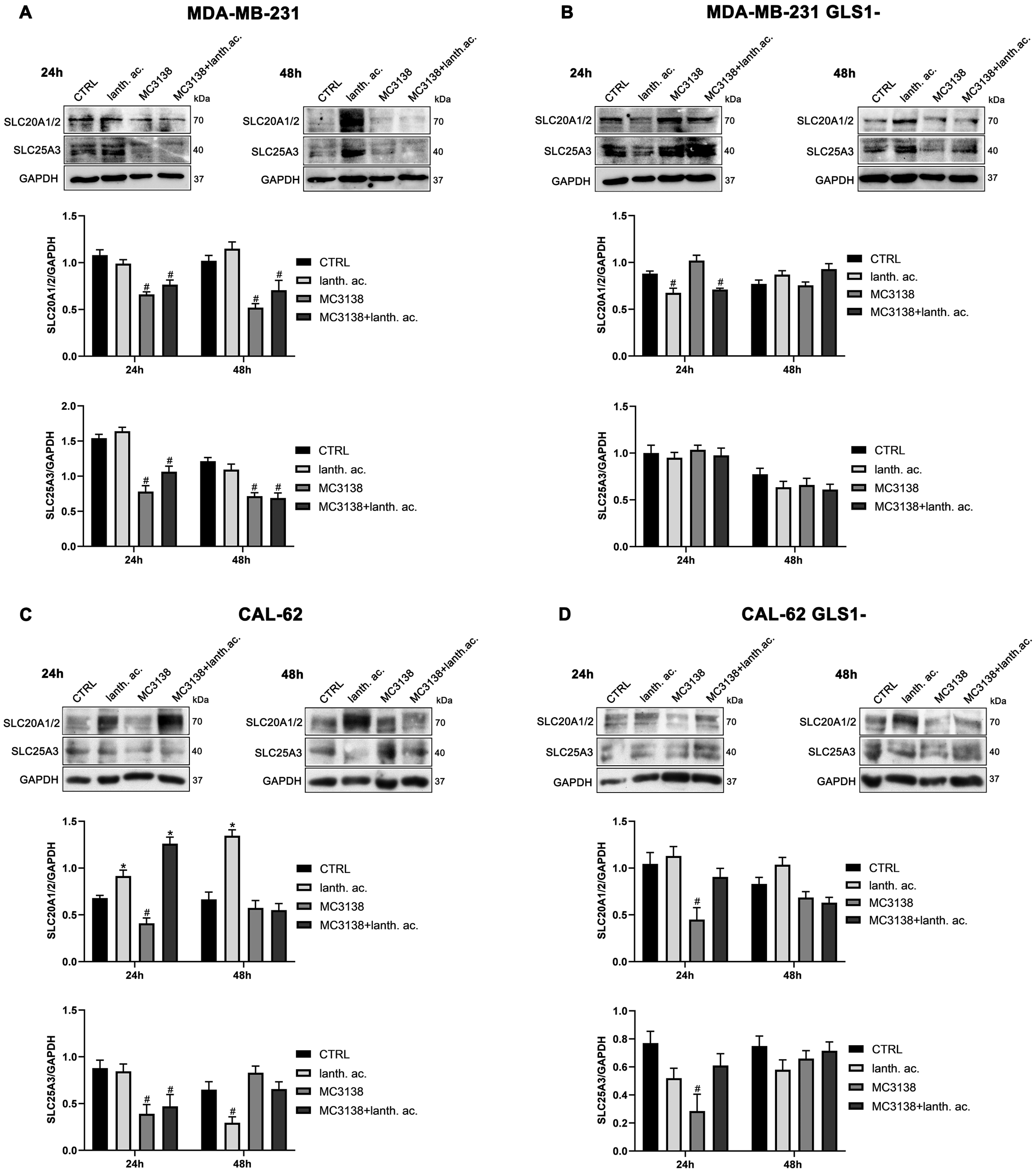 Antioxidants 12 01635 g007