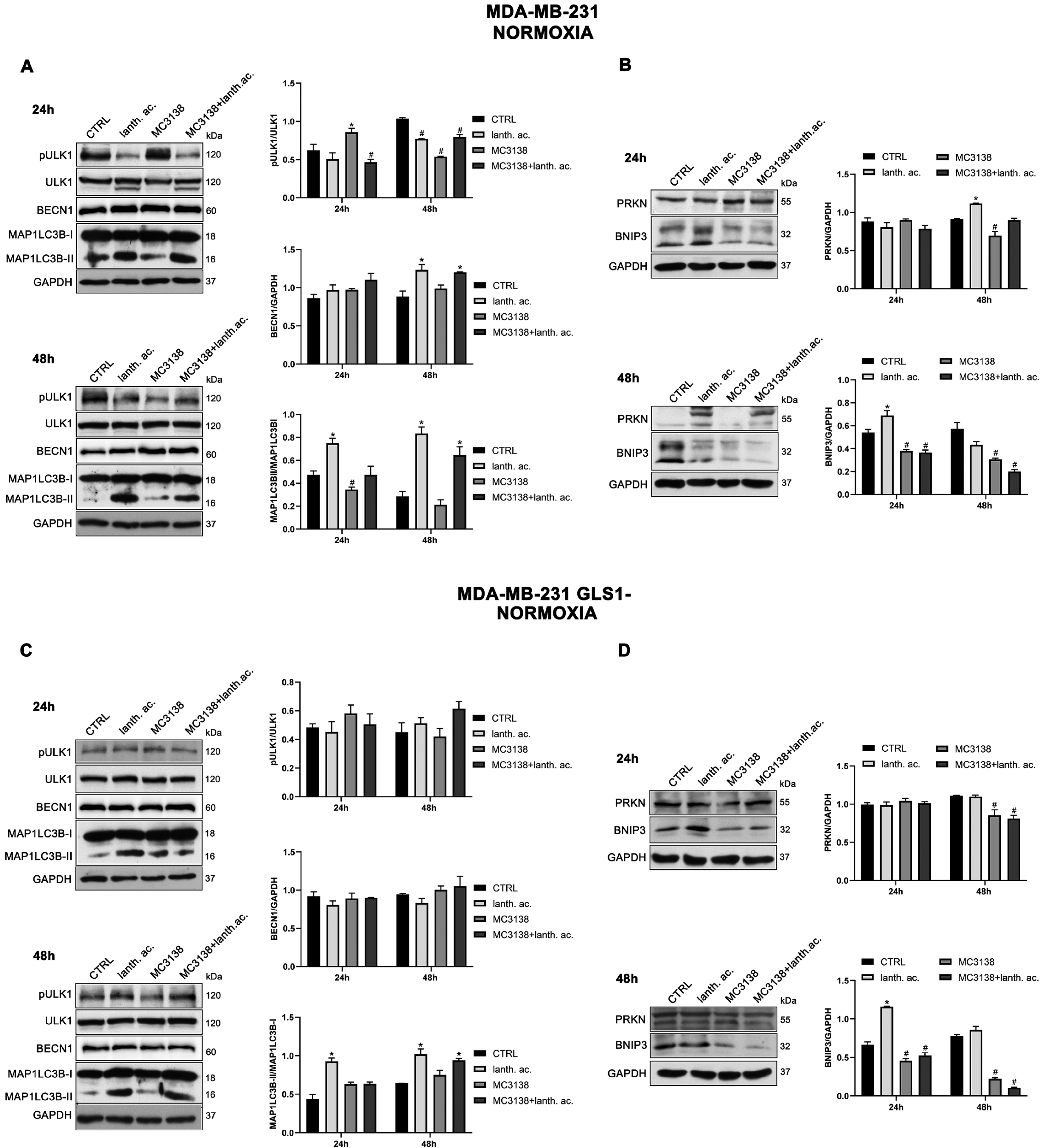 Antioxidants 12 01635 g008