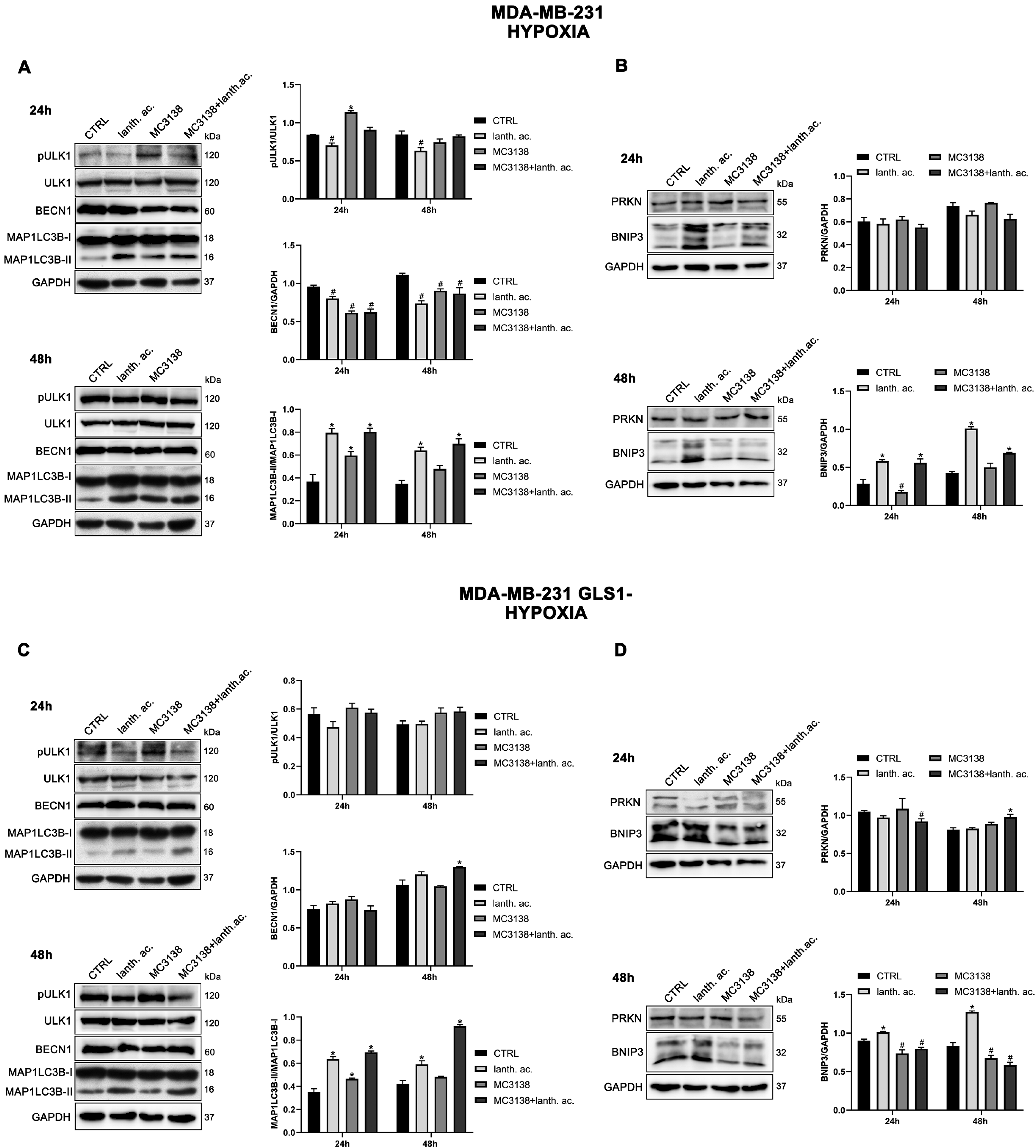 Antioxidants 12 01635 g010