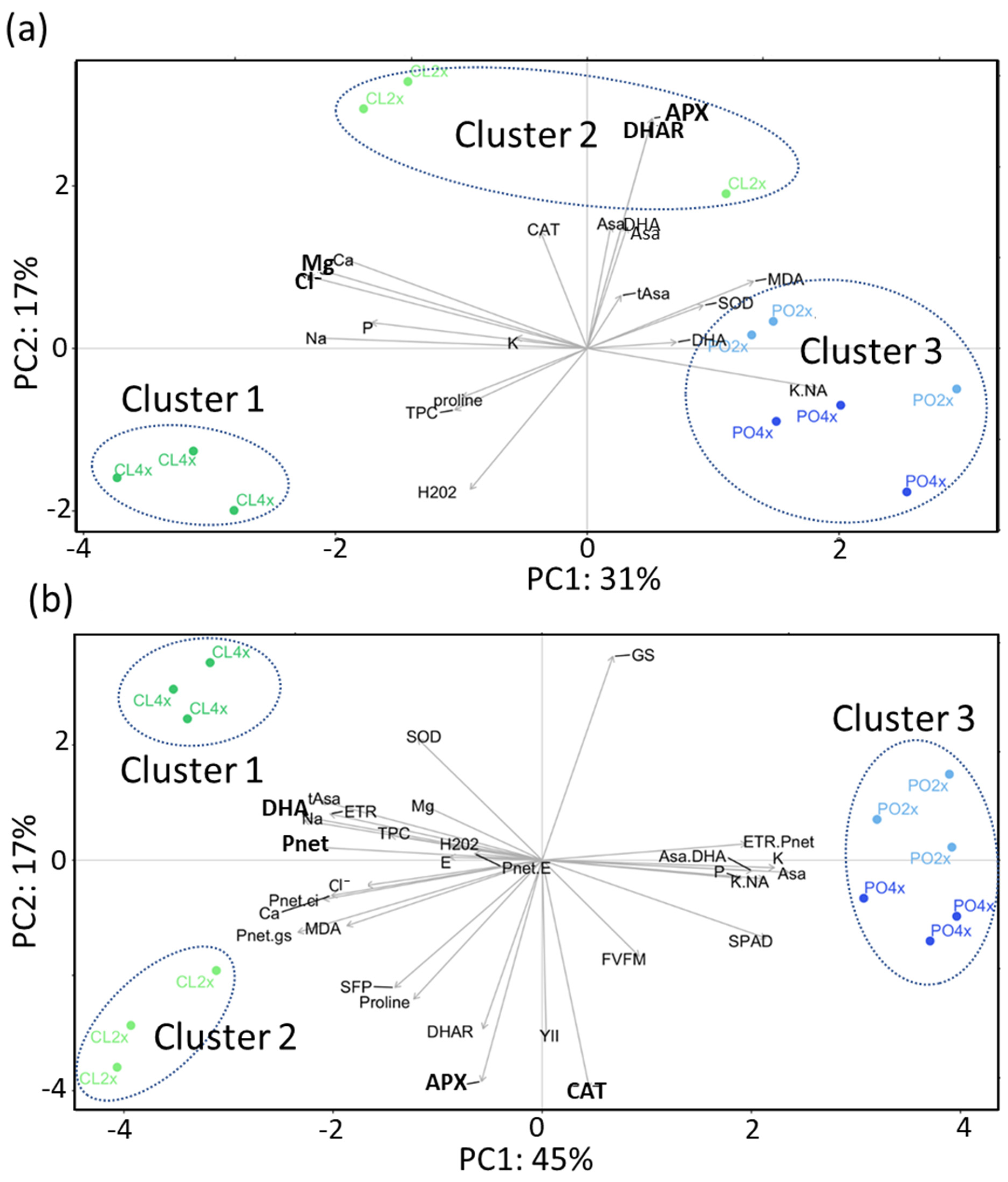 Antioxidants 12 01640 g001 Antioxidants 12 01640 g001