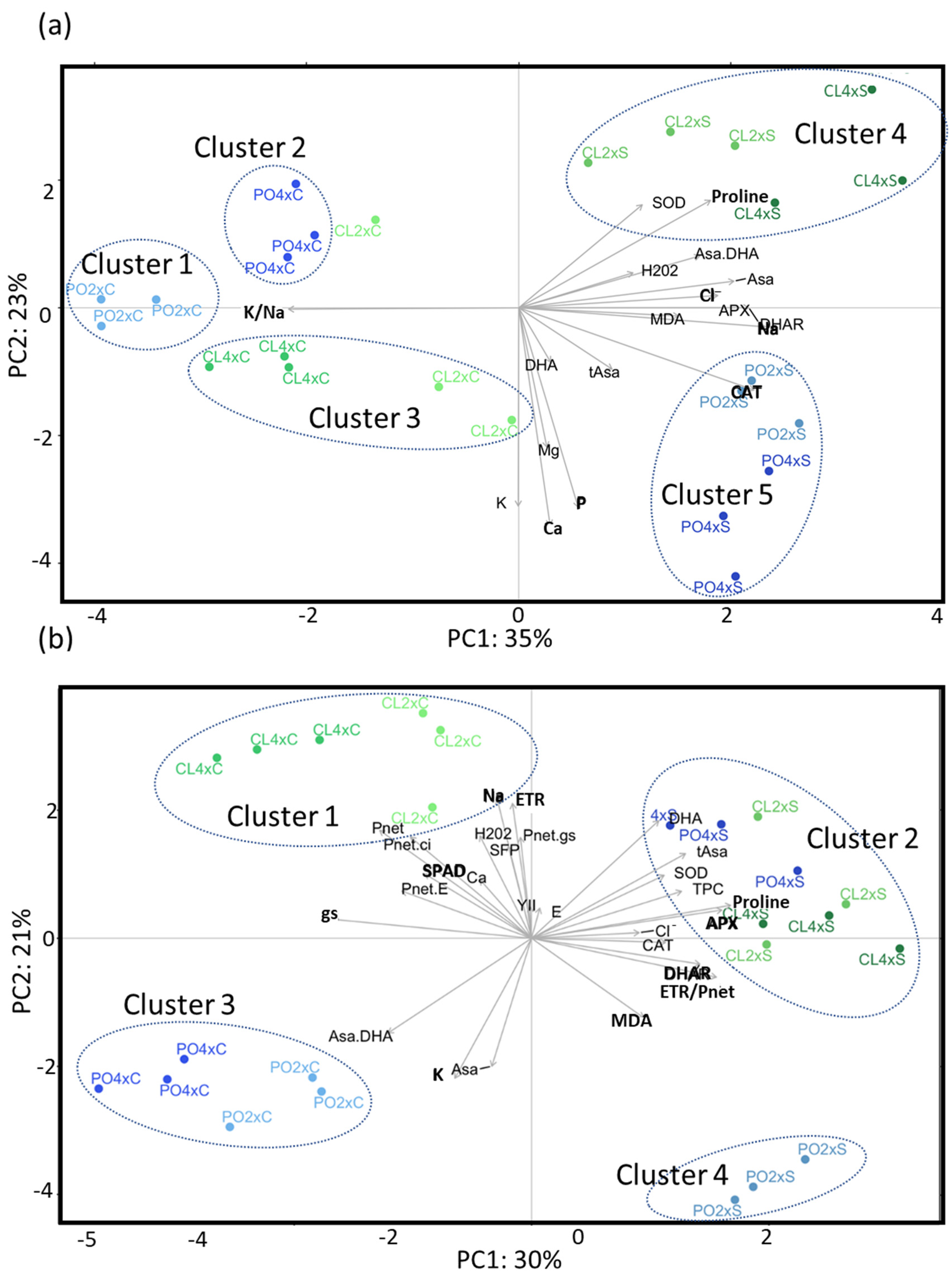 Antioxidants 12 01640 g002 Antioxidants 12 01640 g002