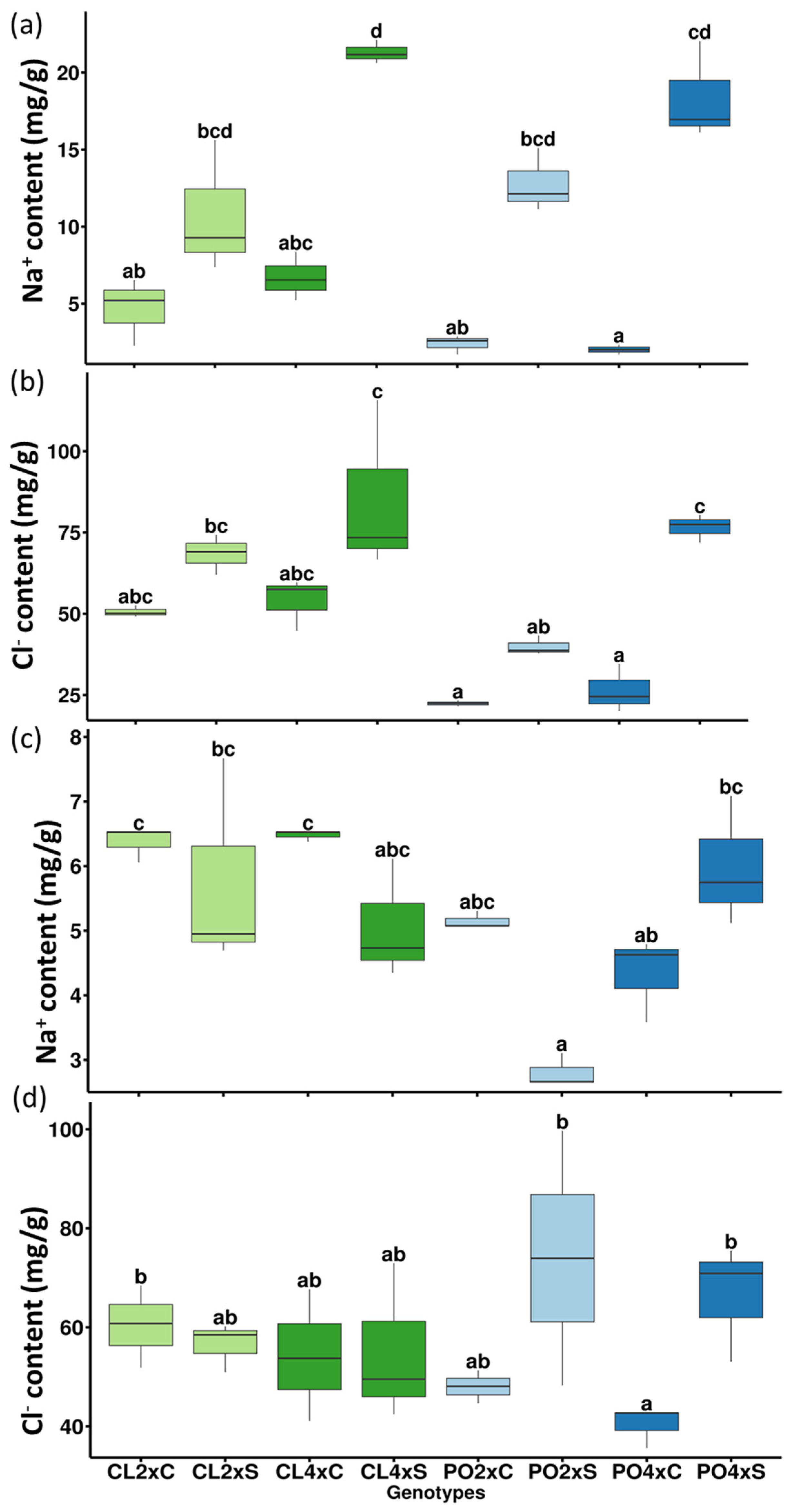 Antioxidants 12 01640 g003 Antioxidants 12 01640 g003
