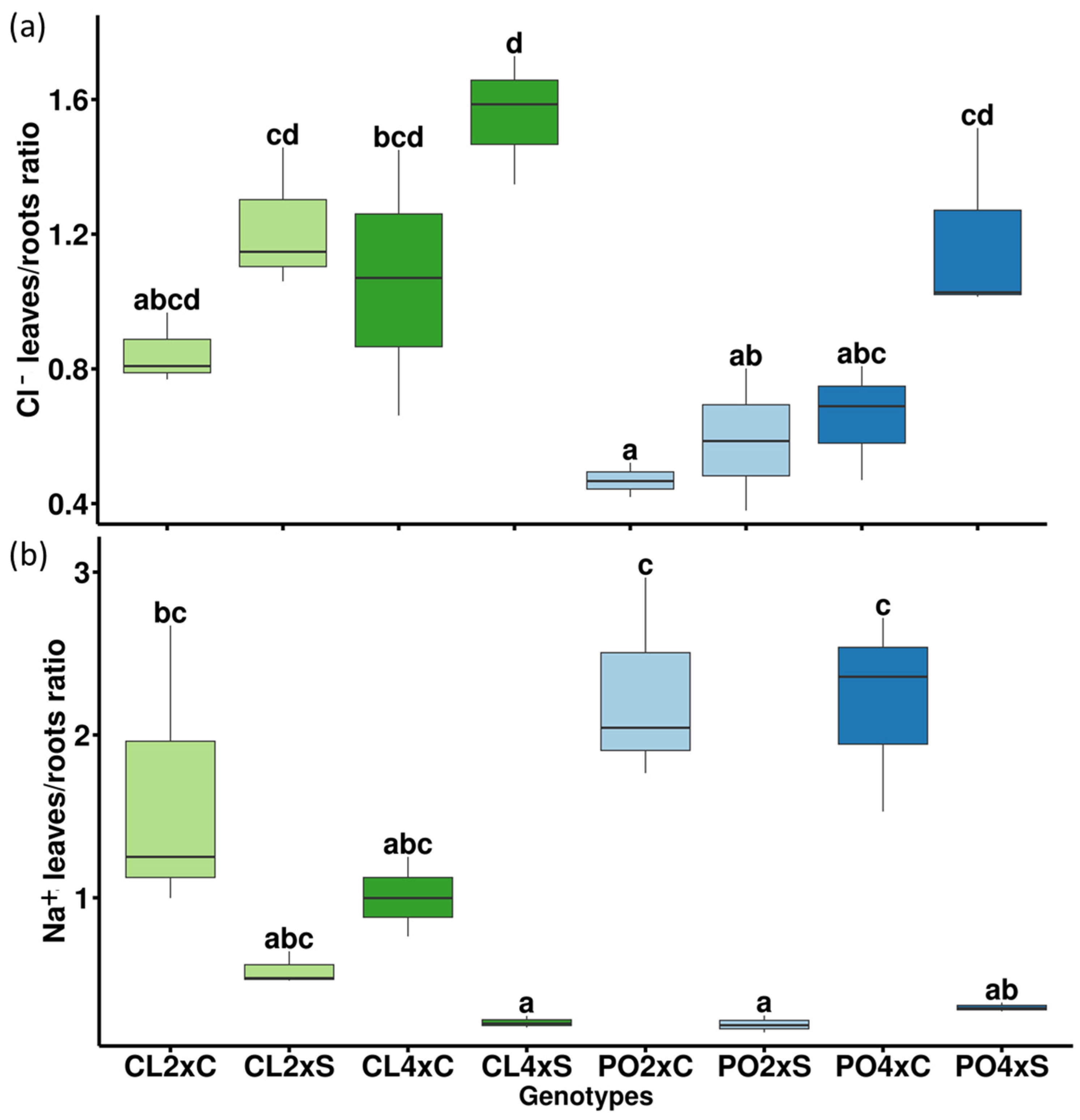 Antioxidants 12 01640 g004 Antioxidants 12 01640 g004