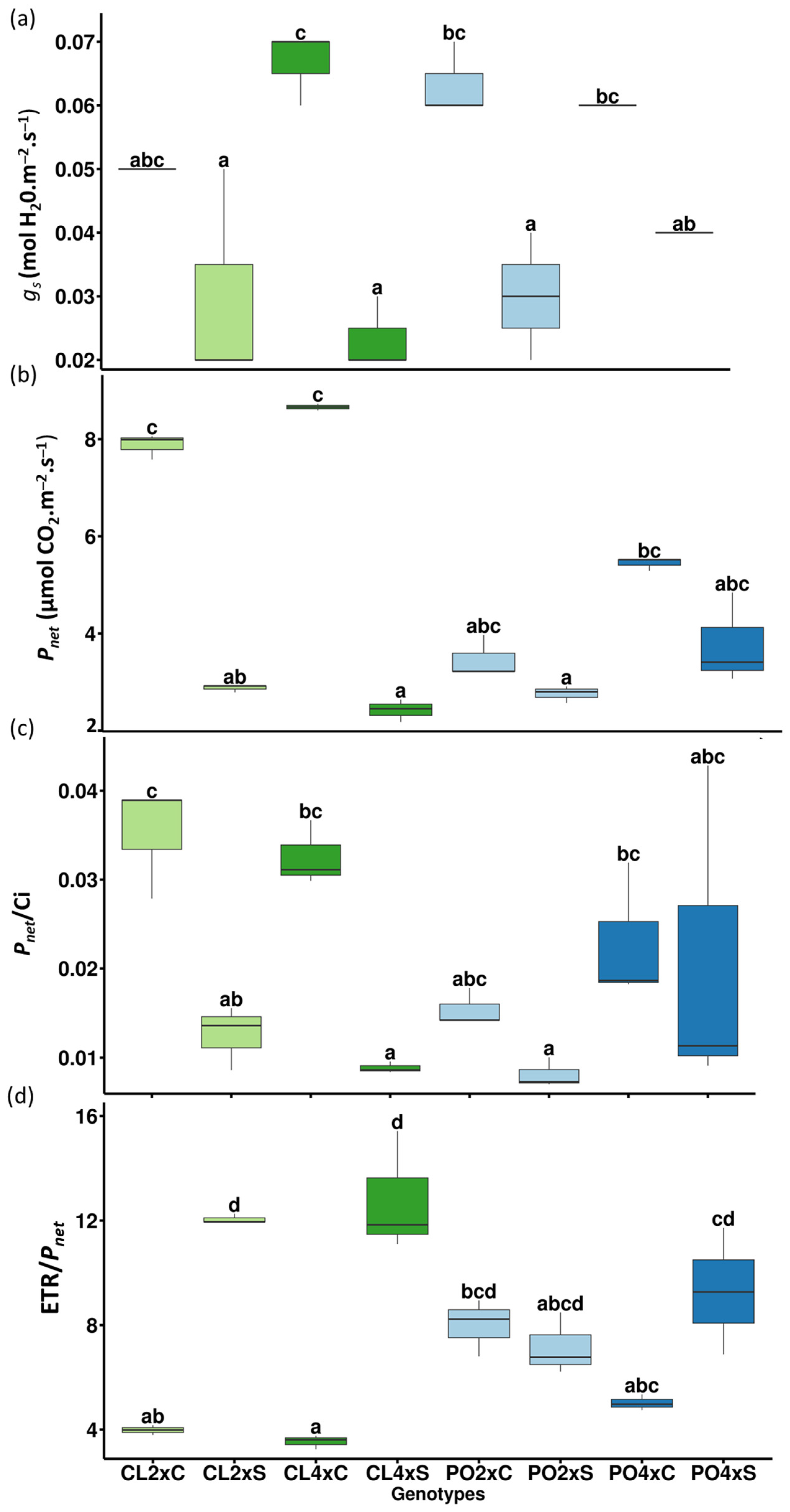 Antioxidants 12 01640 g006 Antioxidants 12 01640 g006