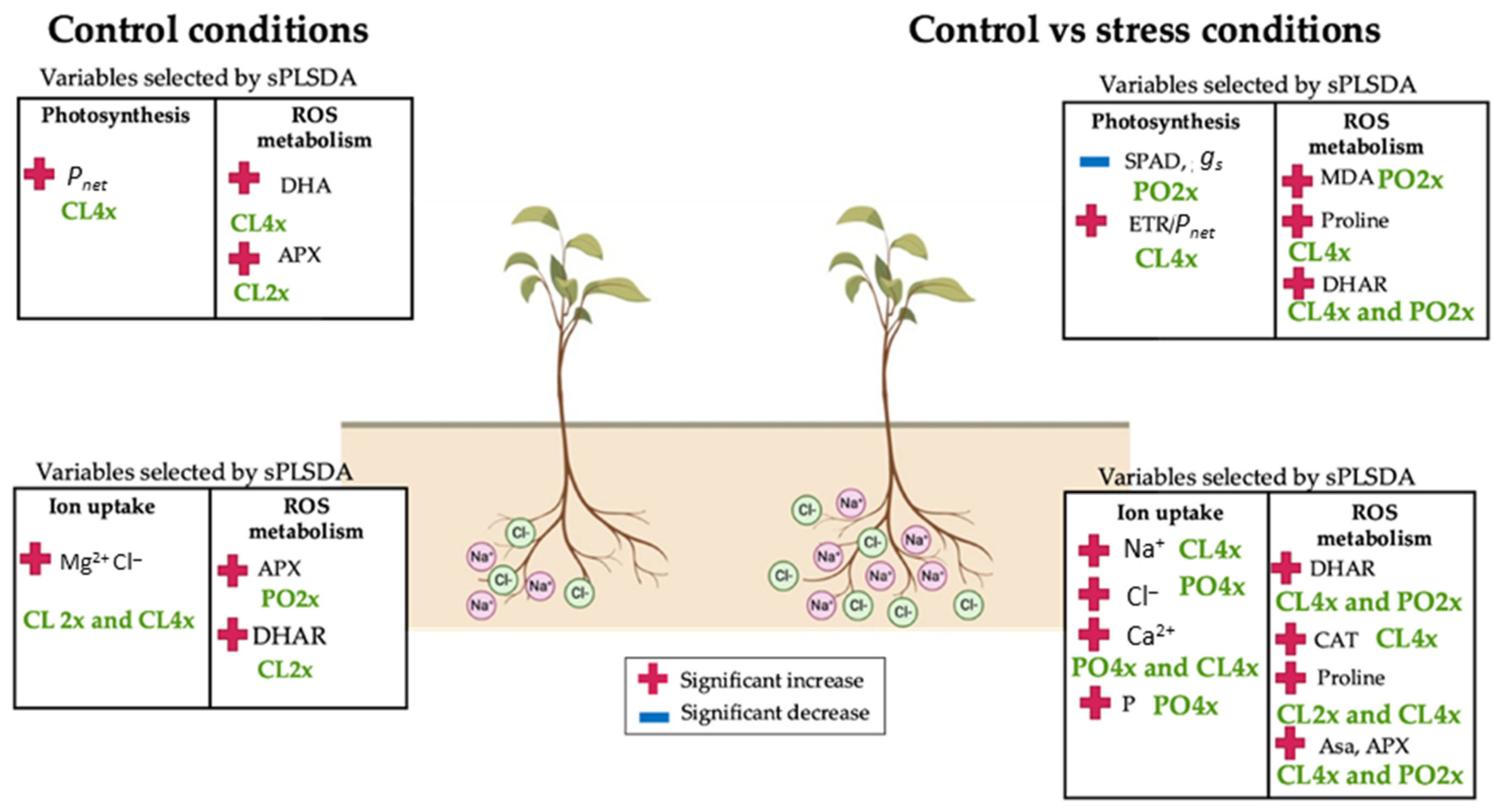 Antioxidants 12 01640 g008 Antioxidants 12 01640 g008