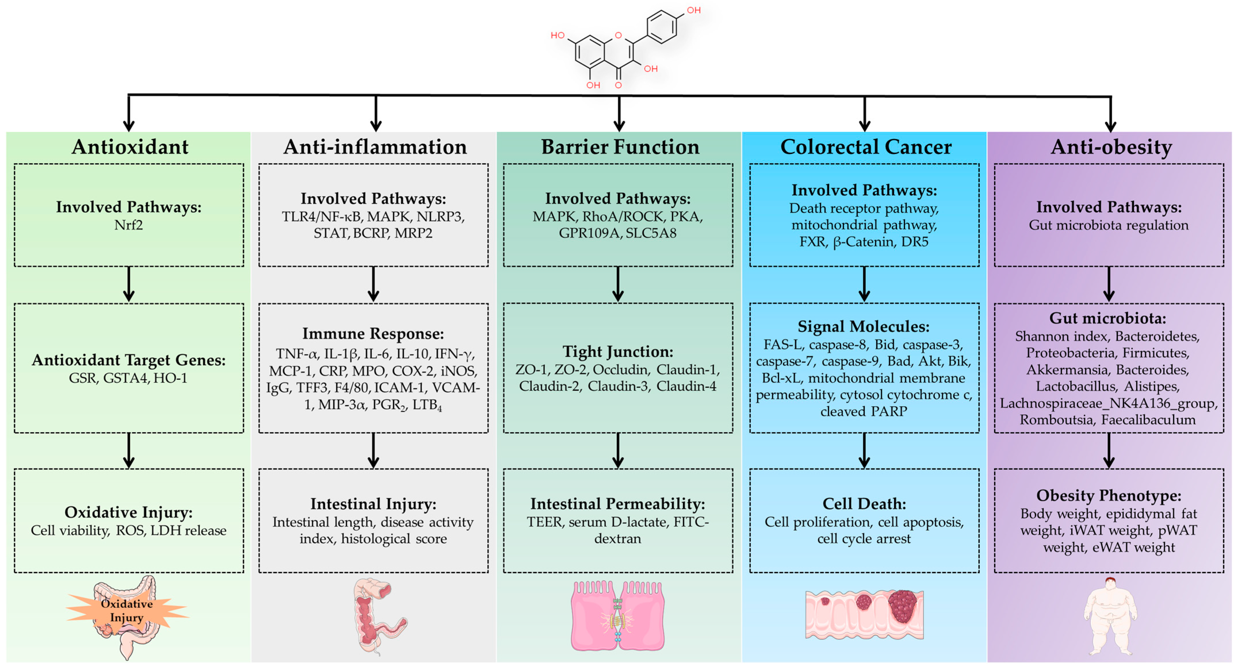 Antioxidants 12 01642 g002
