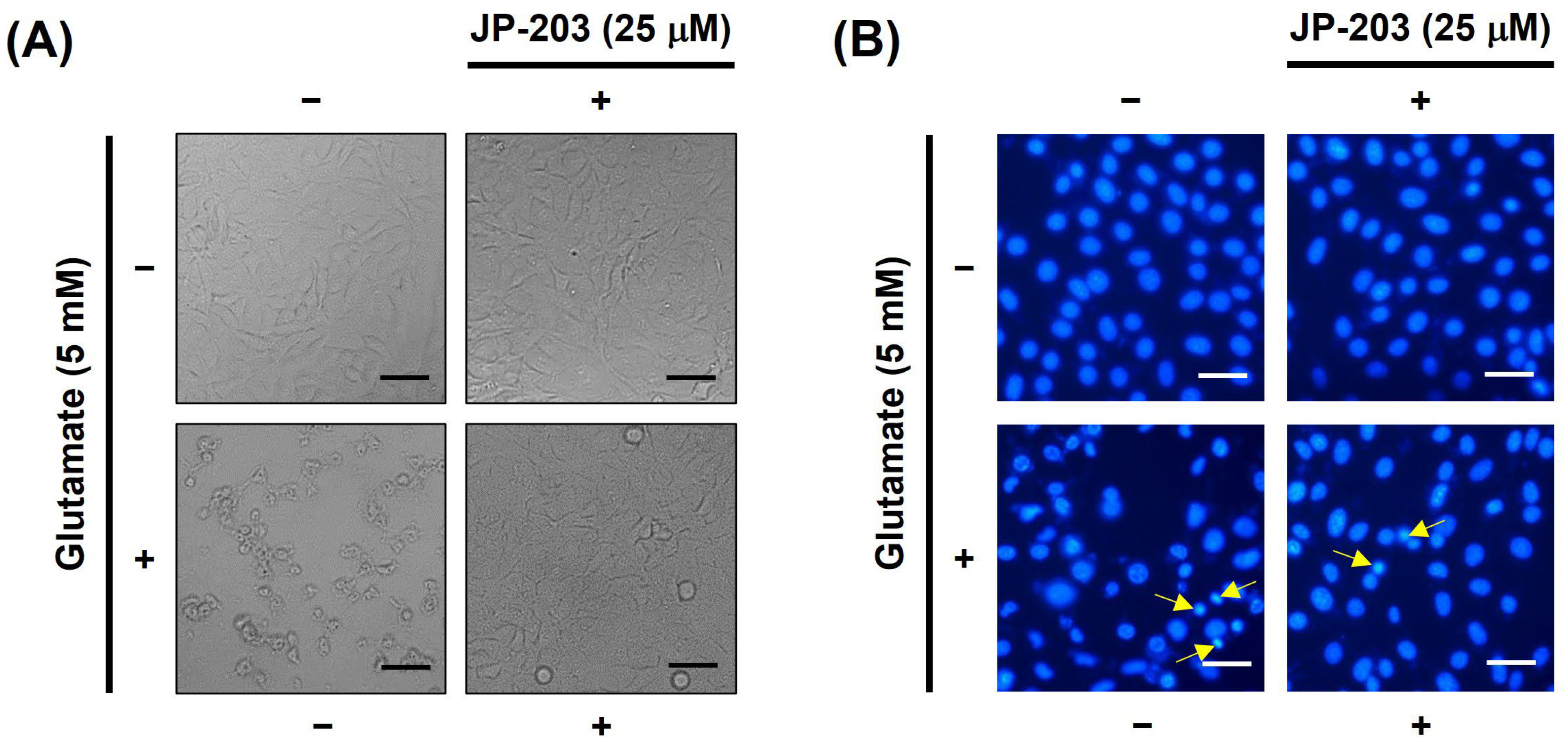 Antioxidants 12 01651 g002