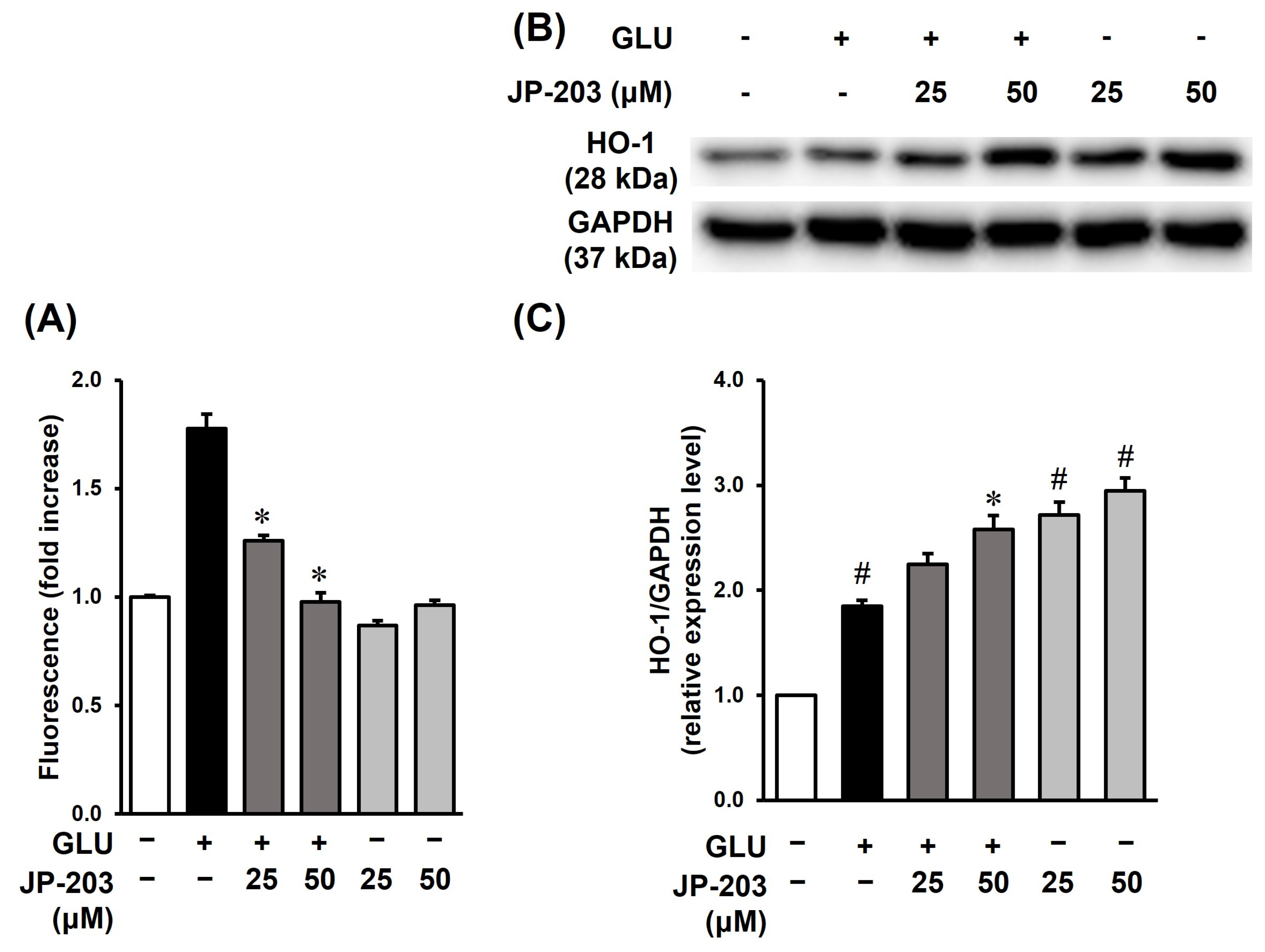 Antioxidants 12 01651 g003