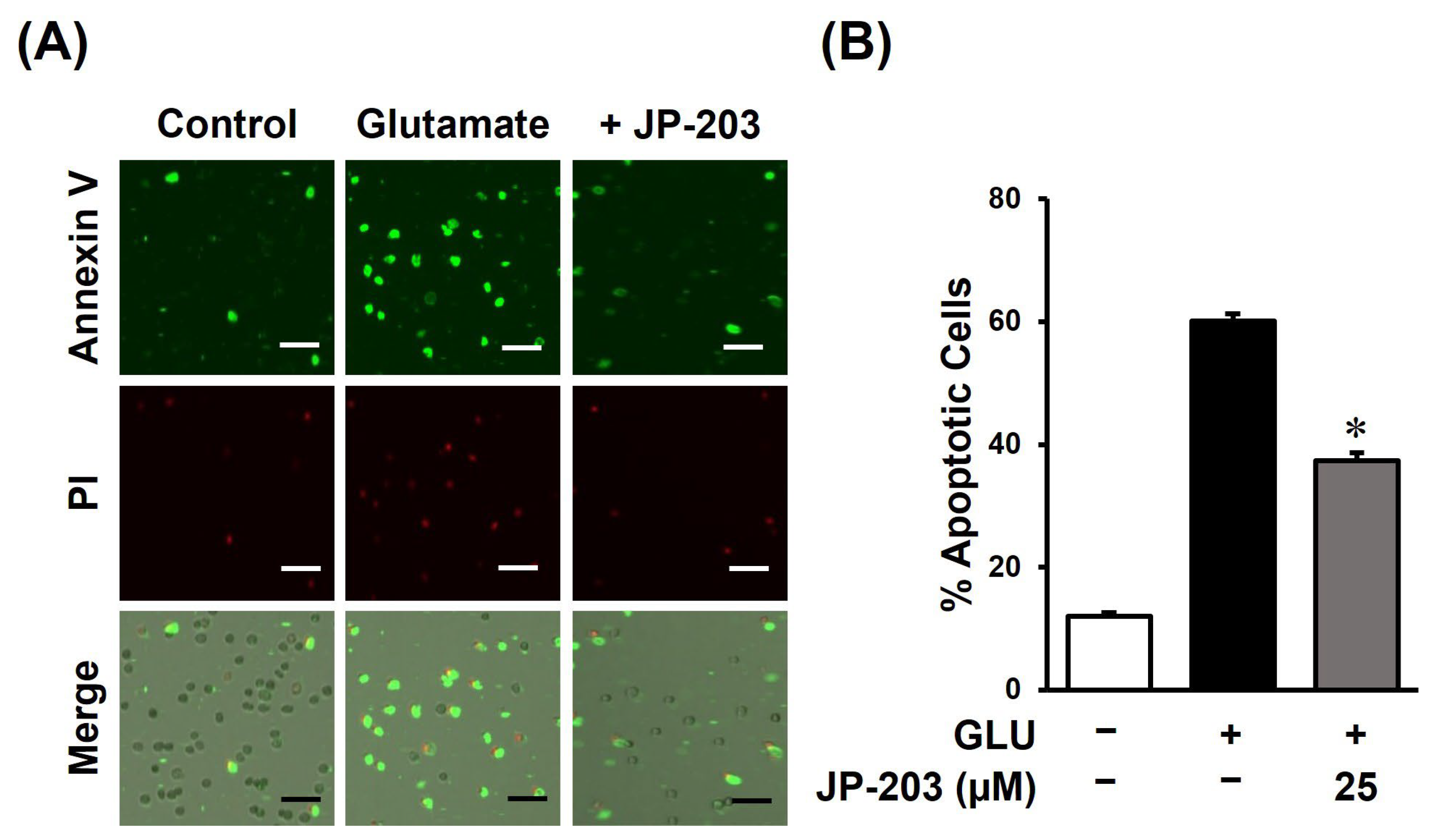 Antioxidants 12 01651 g004