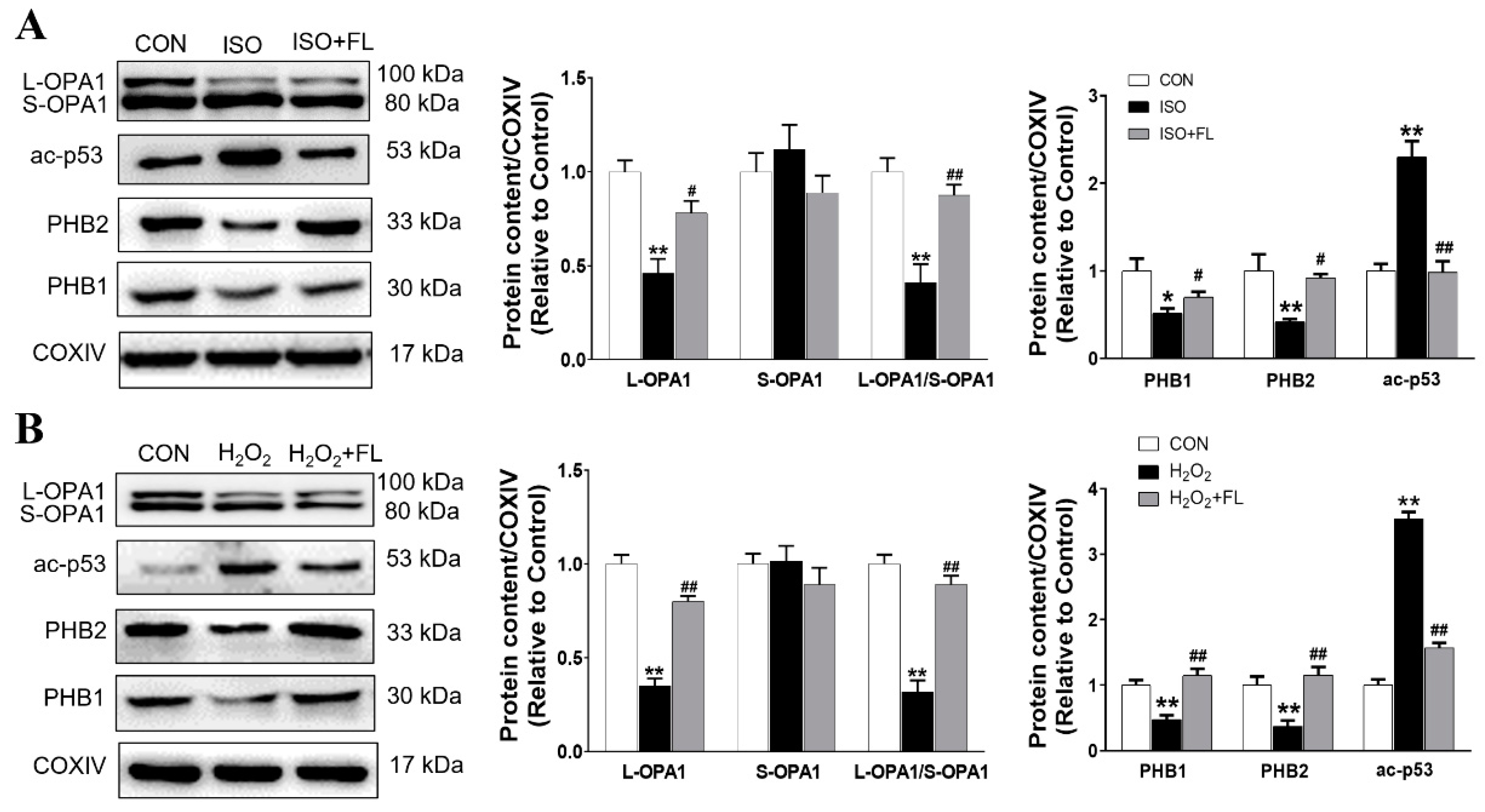 Antioxidants 12 01657 g001