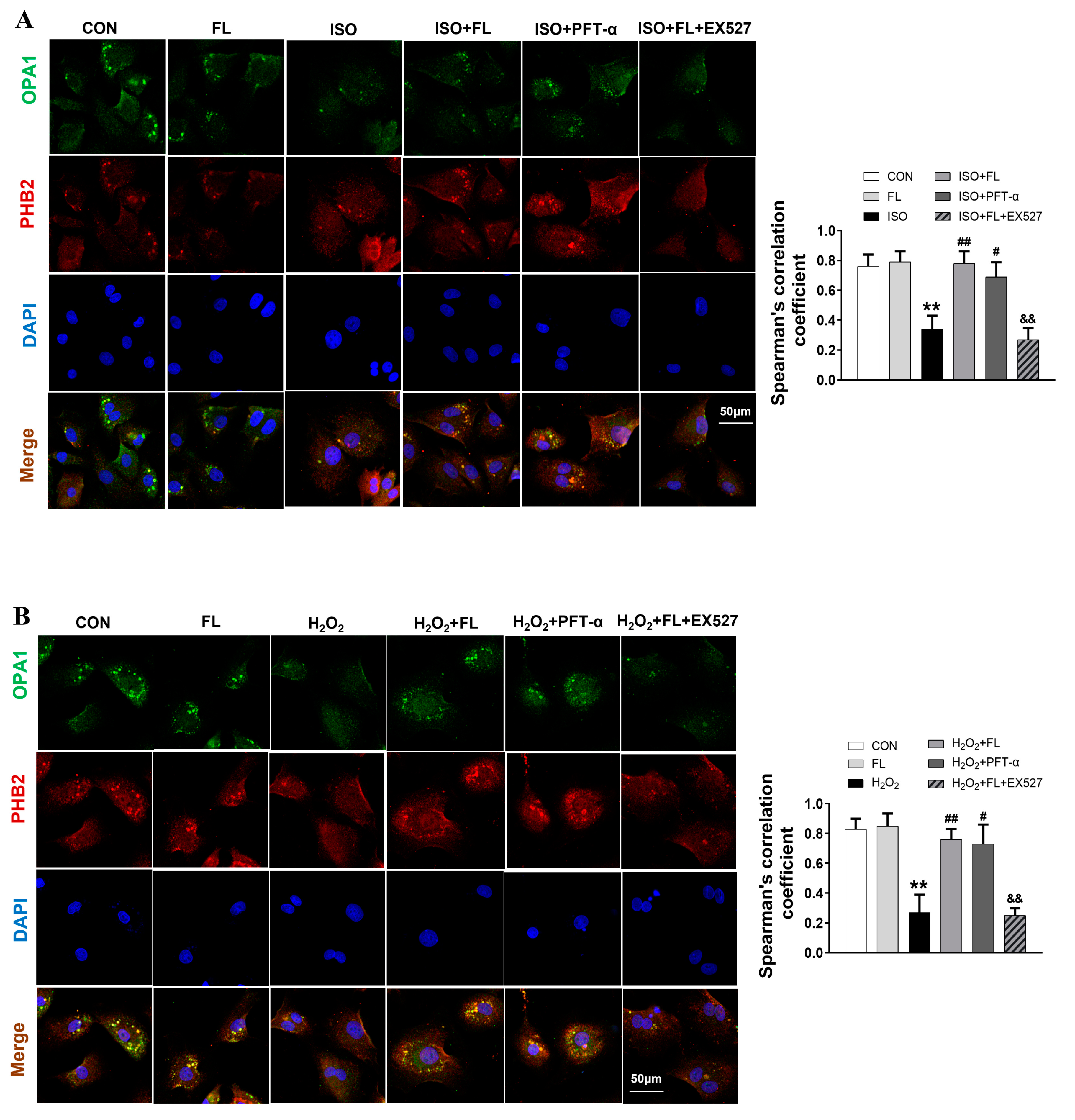 Antioxidants 12 01657 g008
