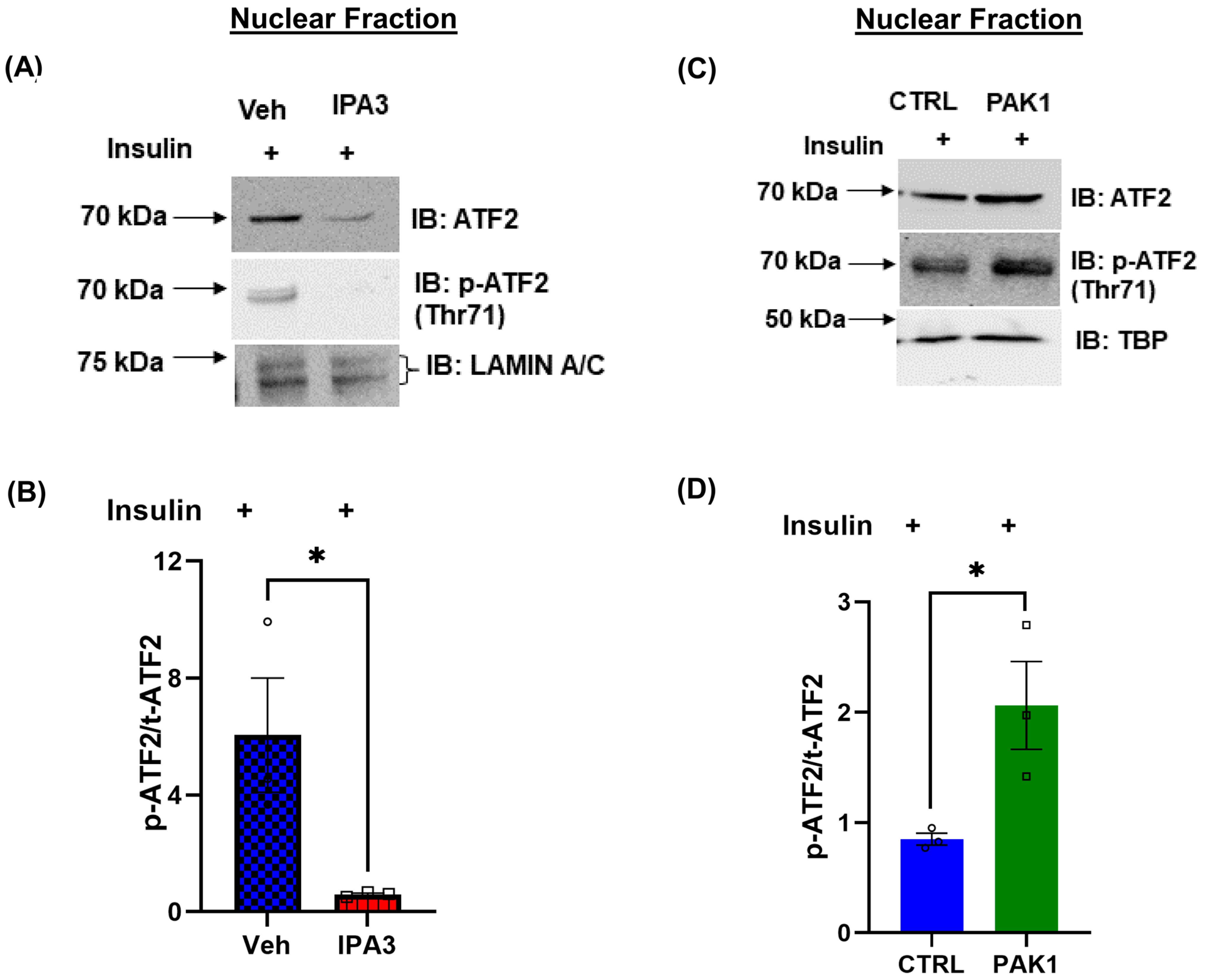 Antioxidants 12 01658 g005 Antioxidants 12 01658 g005