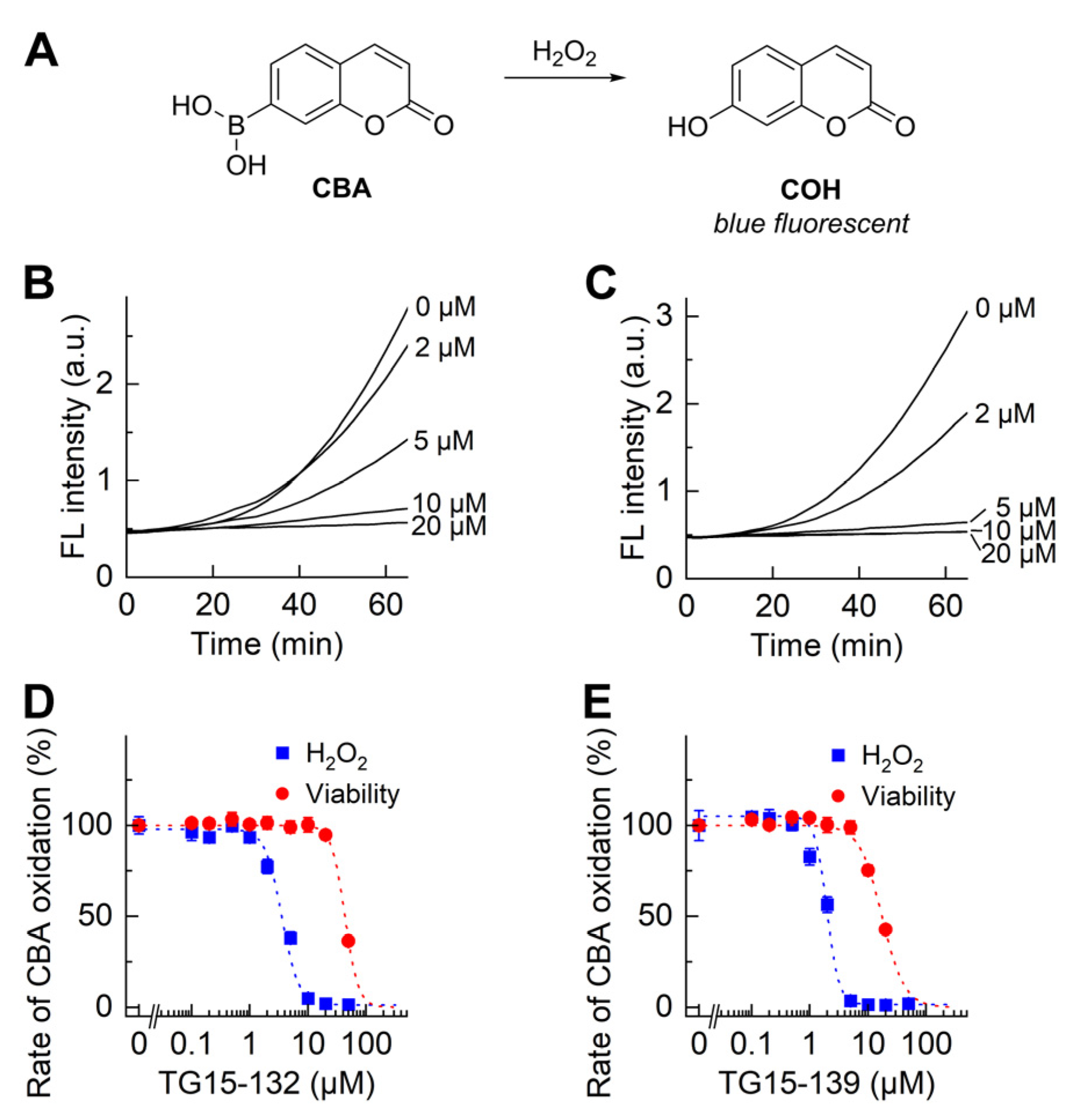 Antioxidants 12 01660 g003 Antioxidants 12 01660 g003