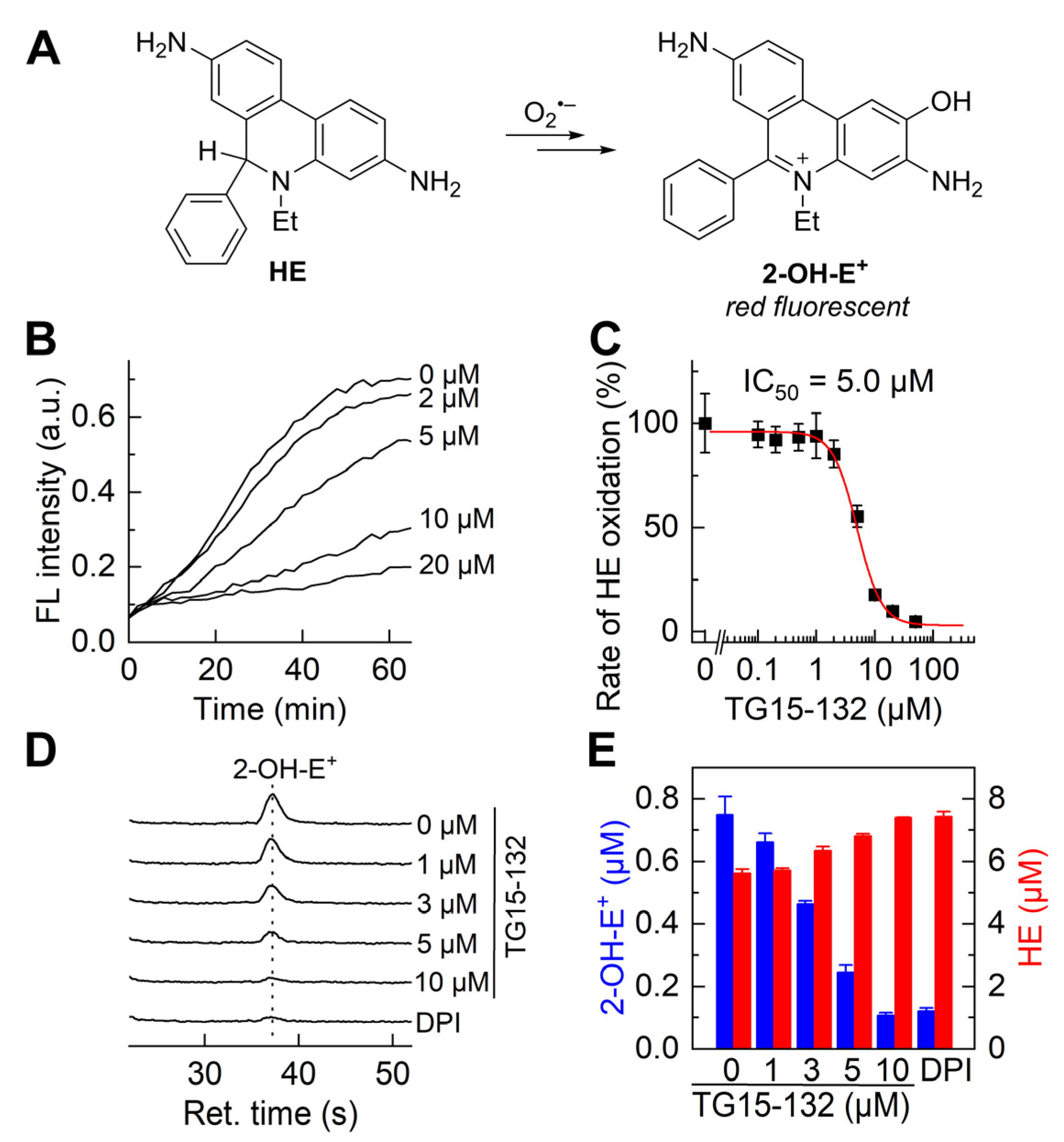 Antioxidants 12 01660 g005 Antioxidants 12 01660 g005