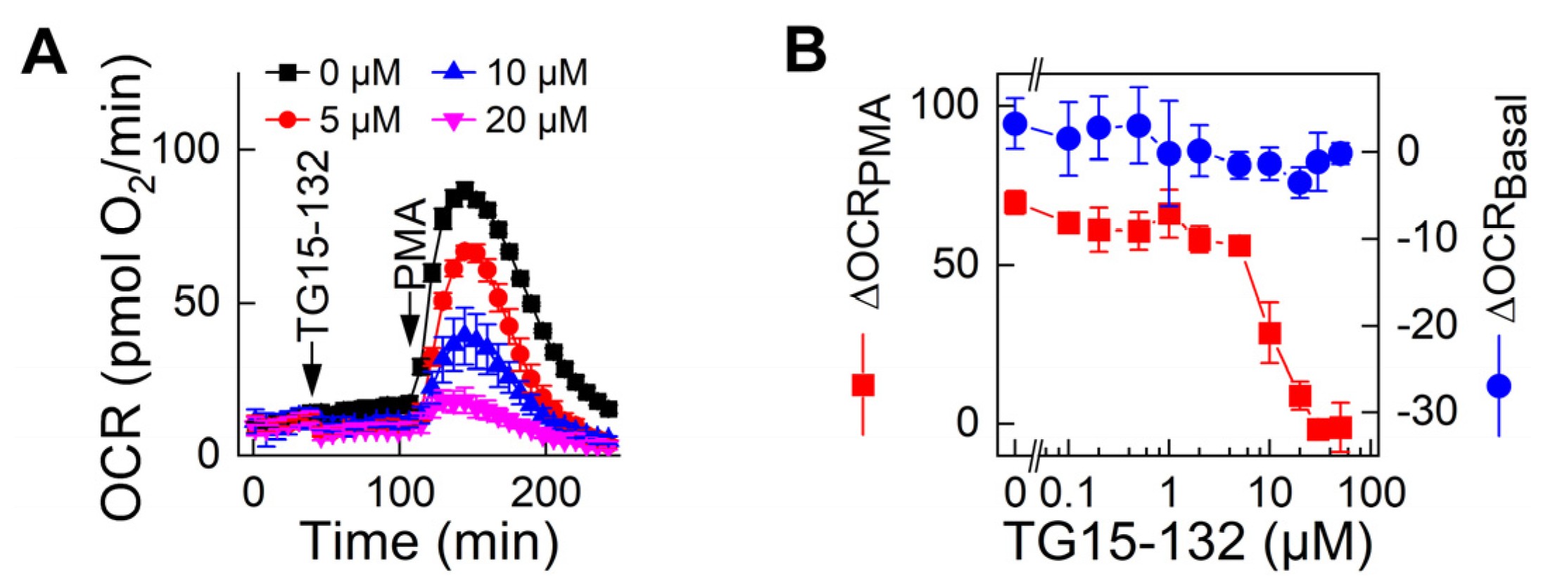Antioxidants 12 01660 g006 Antioxidants 12 01660 g006