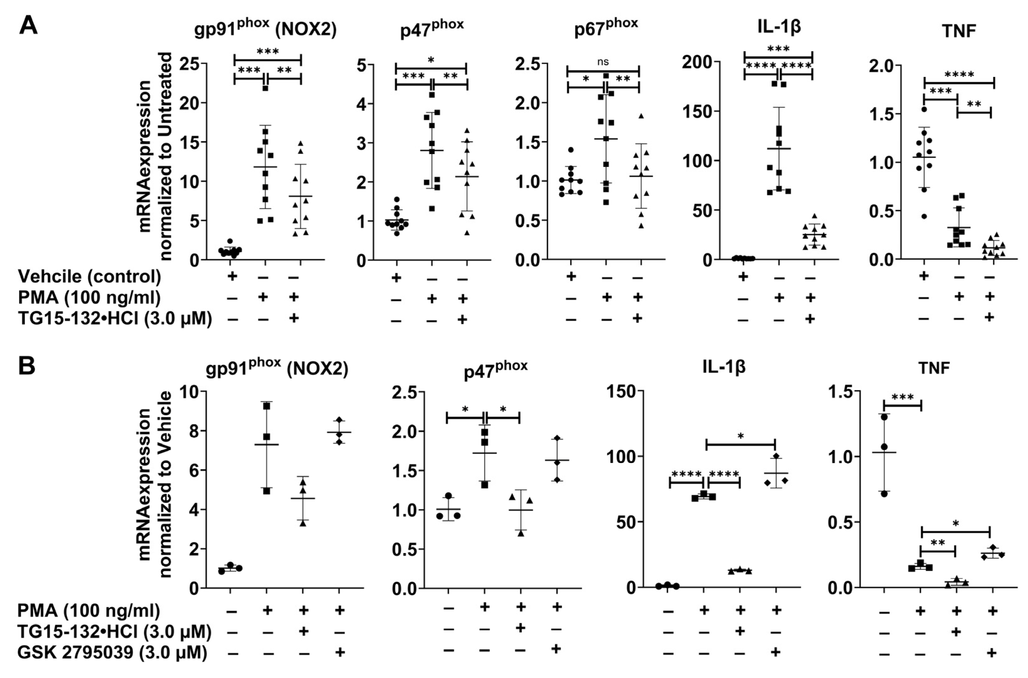 Antioxidants 12 01660 g007 Antioxidants 12 01660 g007