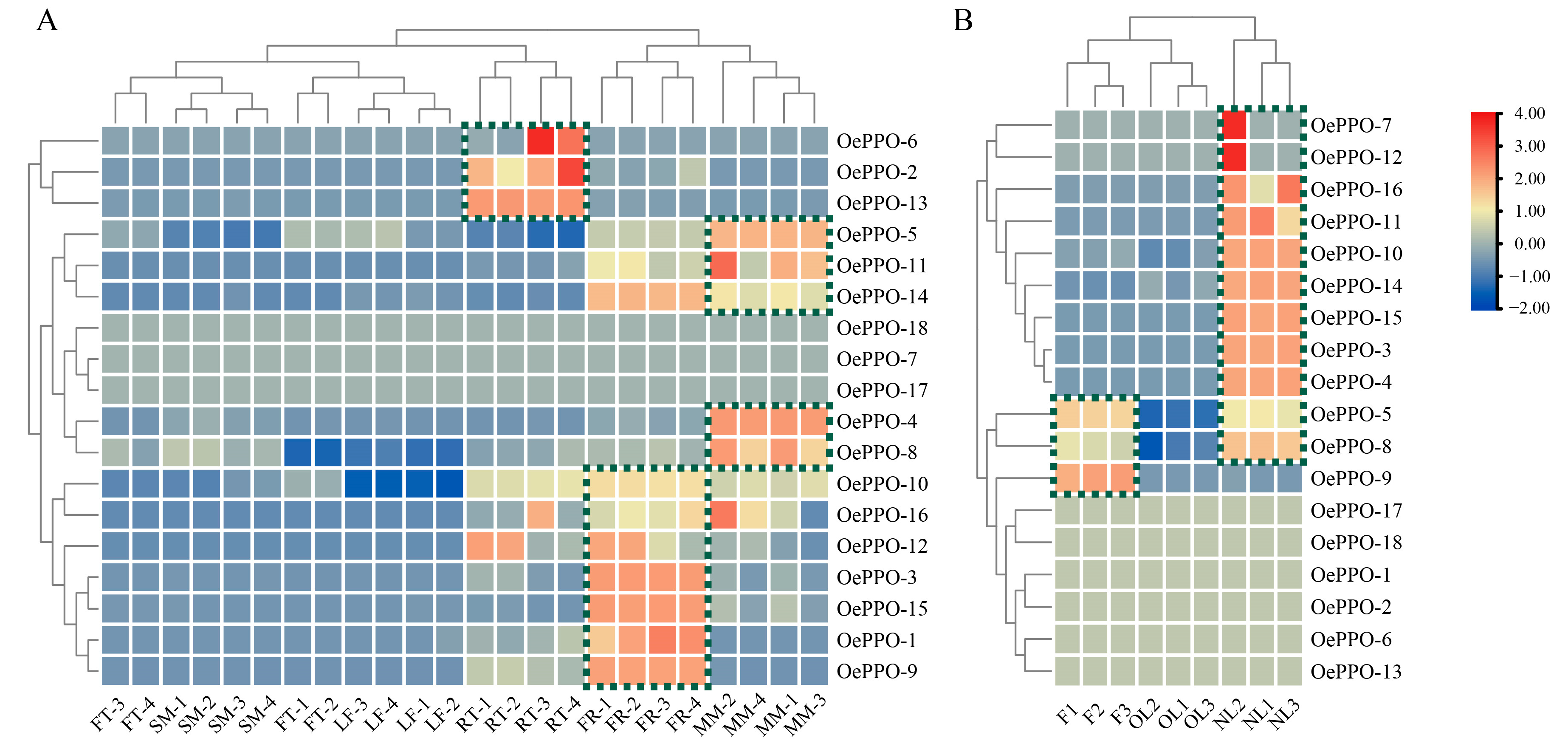 Antioxidants 12 01661 g004