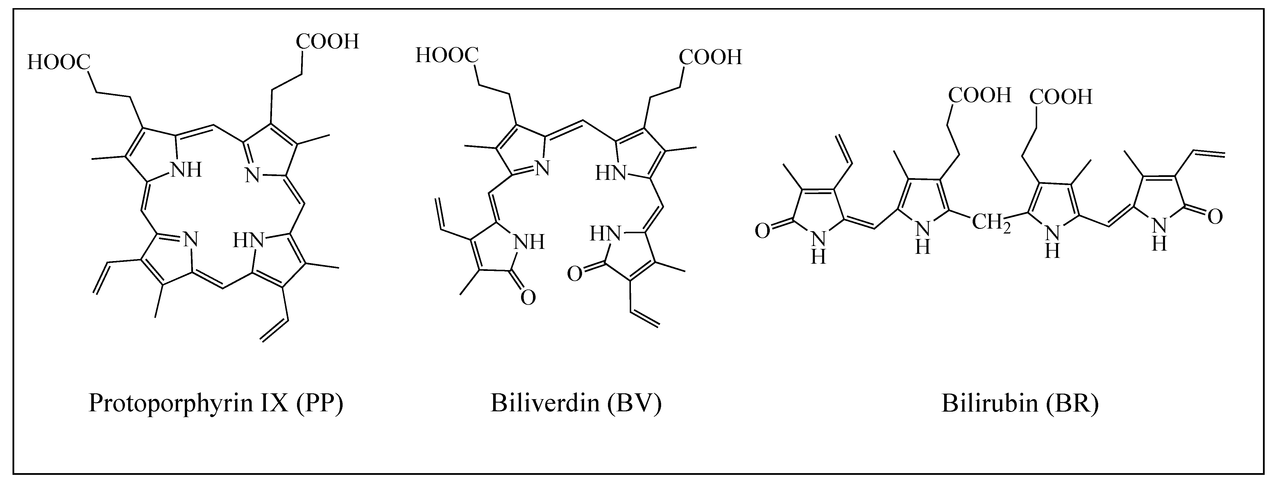 Antioxidants 12 01662 g001 Antioxidants 12 01662 g001