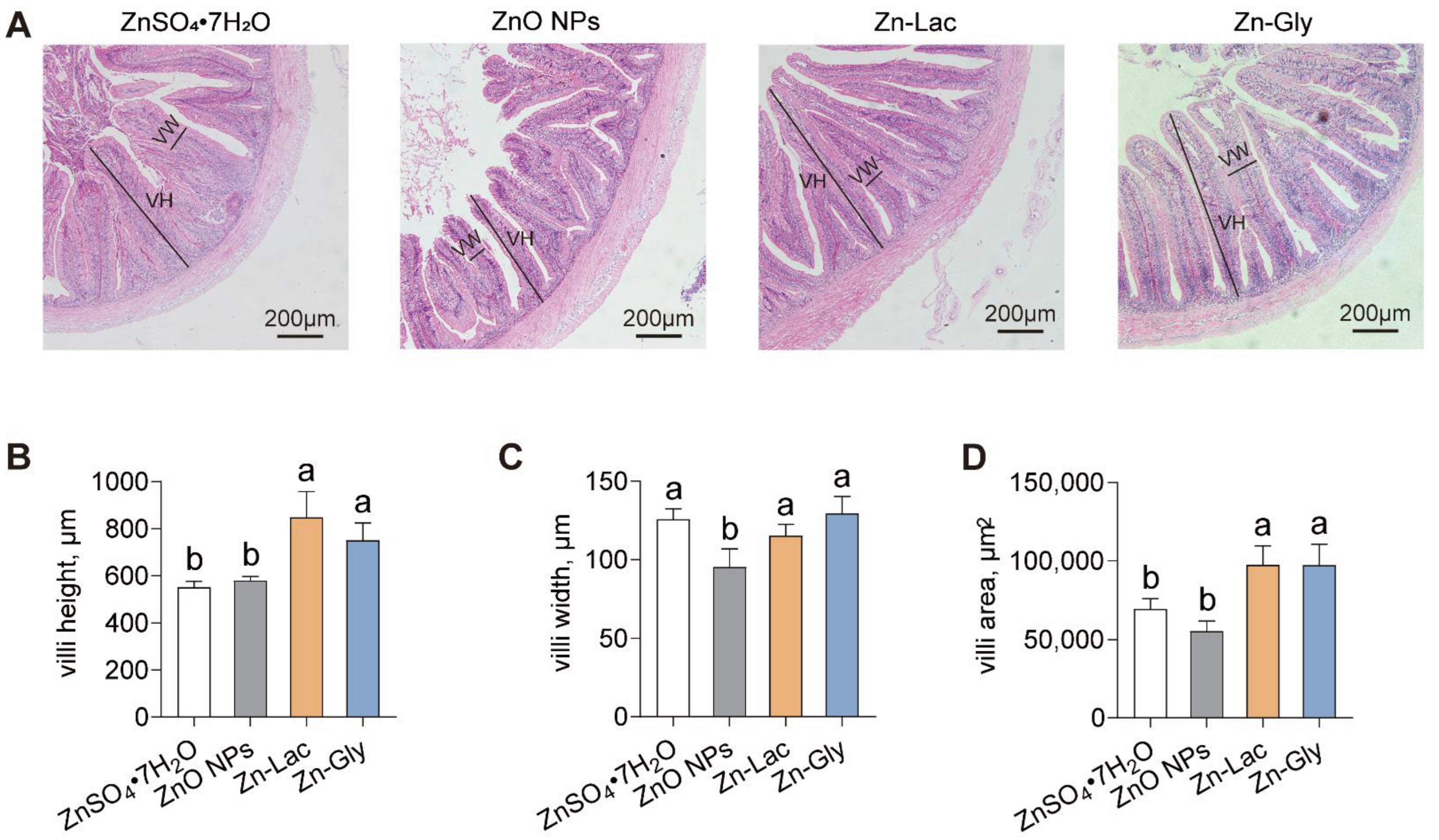 Antioxidants 12 01664 g002