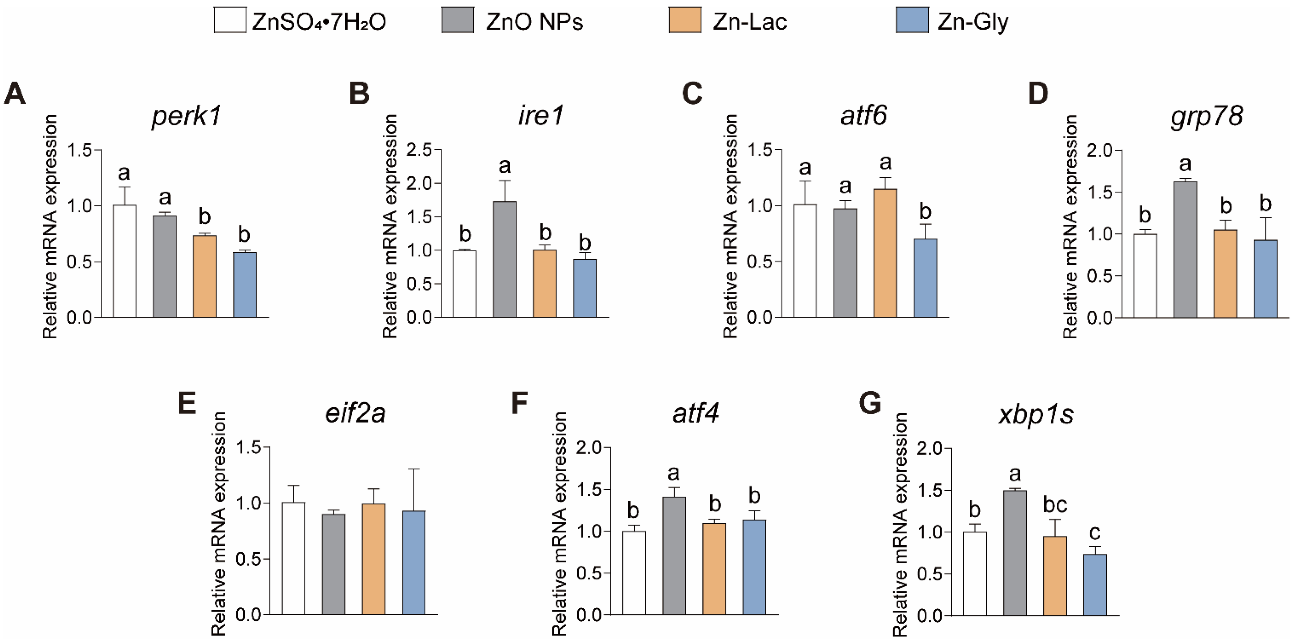 Antioxidants 12 01664 g004