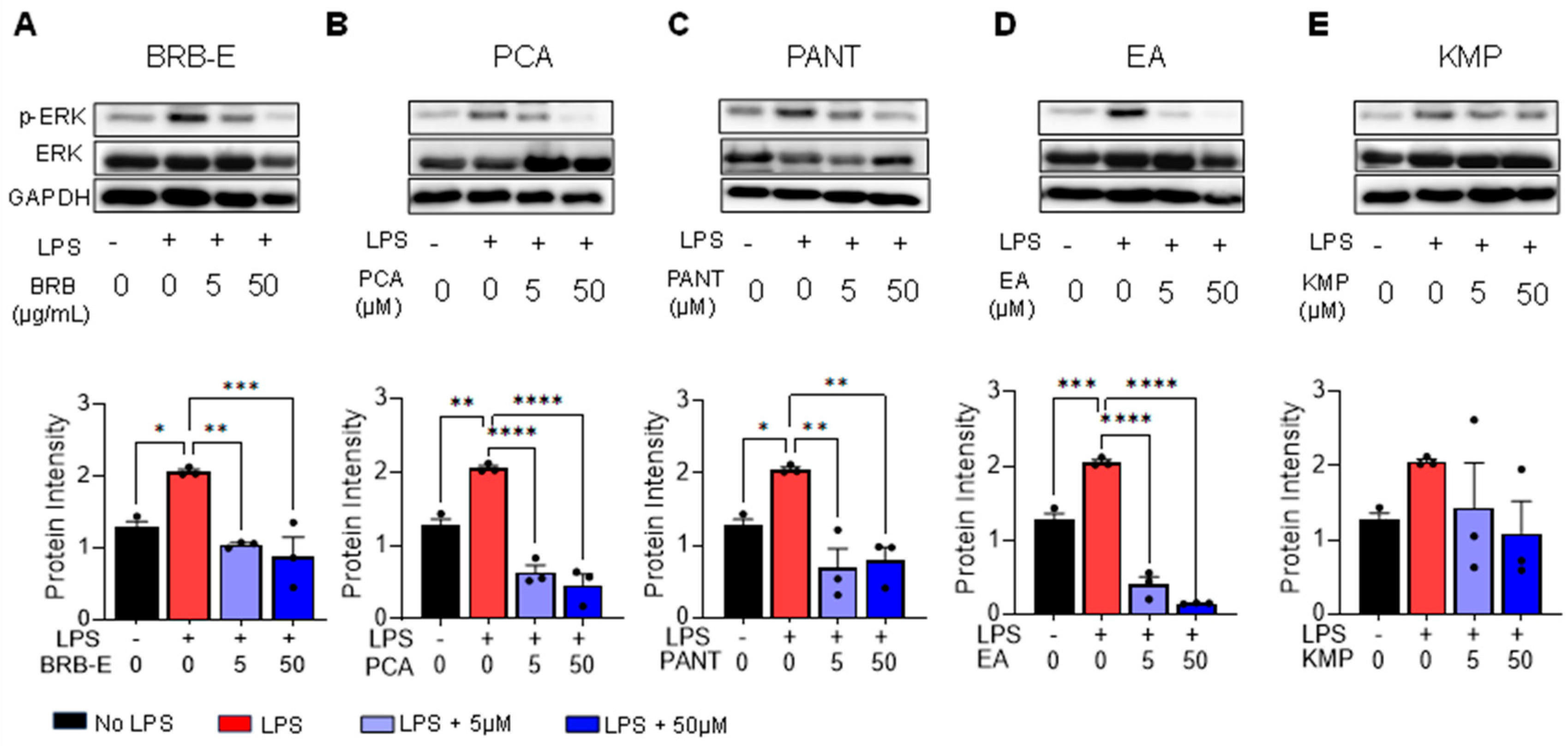 Antioxidants 12 01667 g001 Antioxidants 12 01667 g001