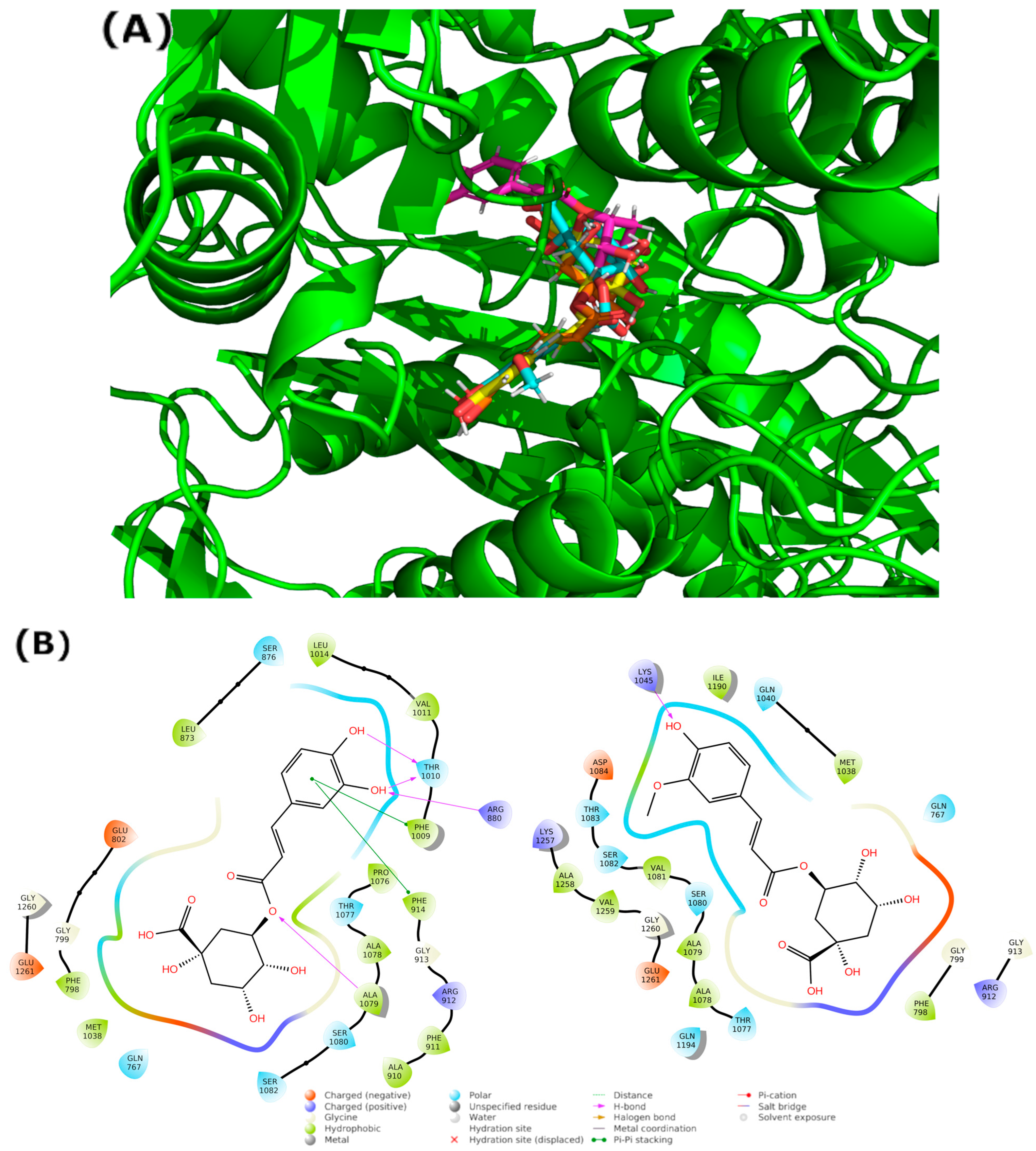 Antioxidants 12 01669 g007