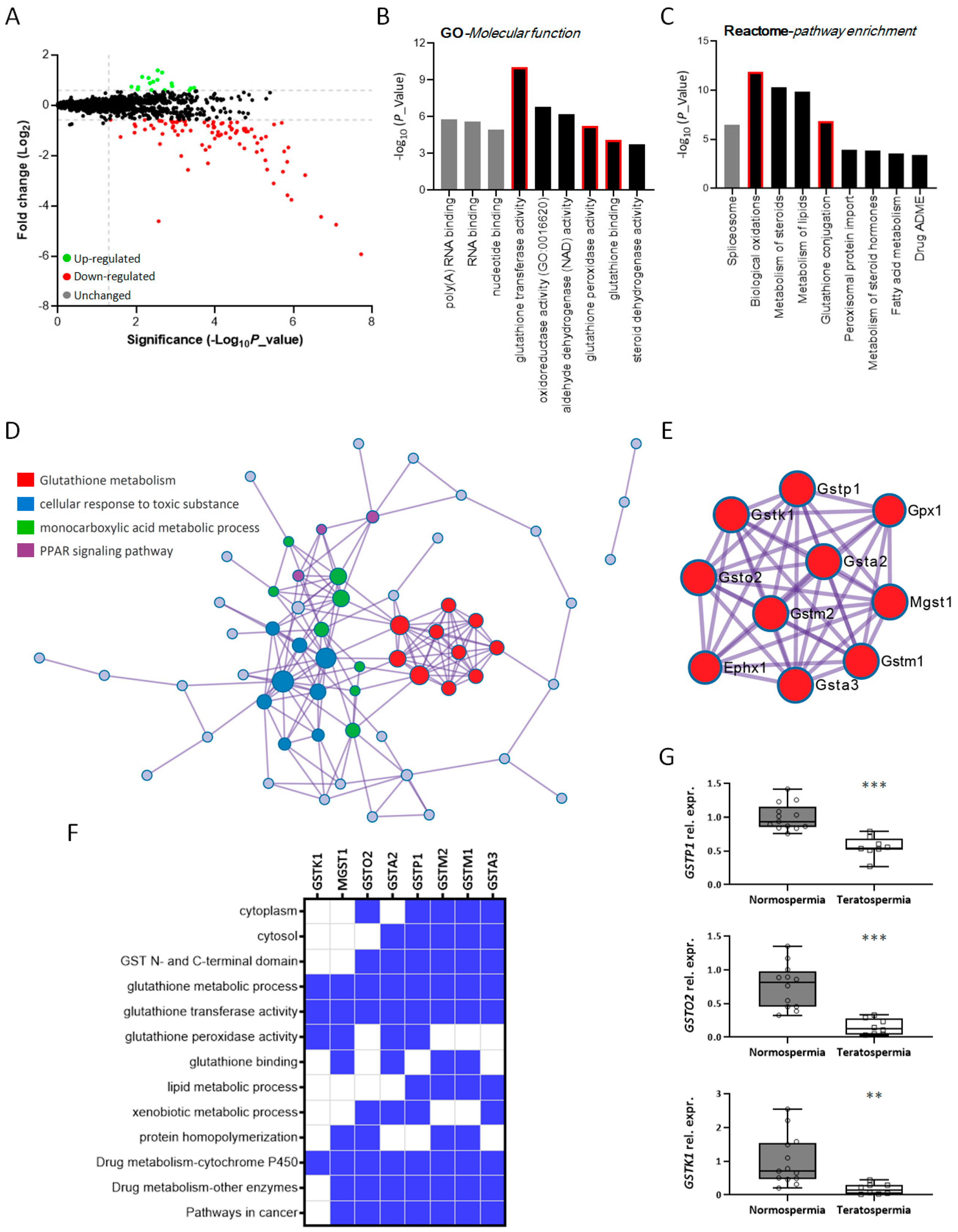 Antioxidants 12 01671 g004