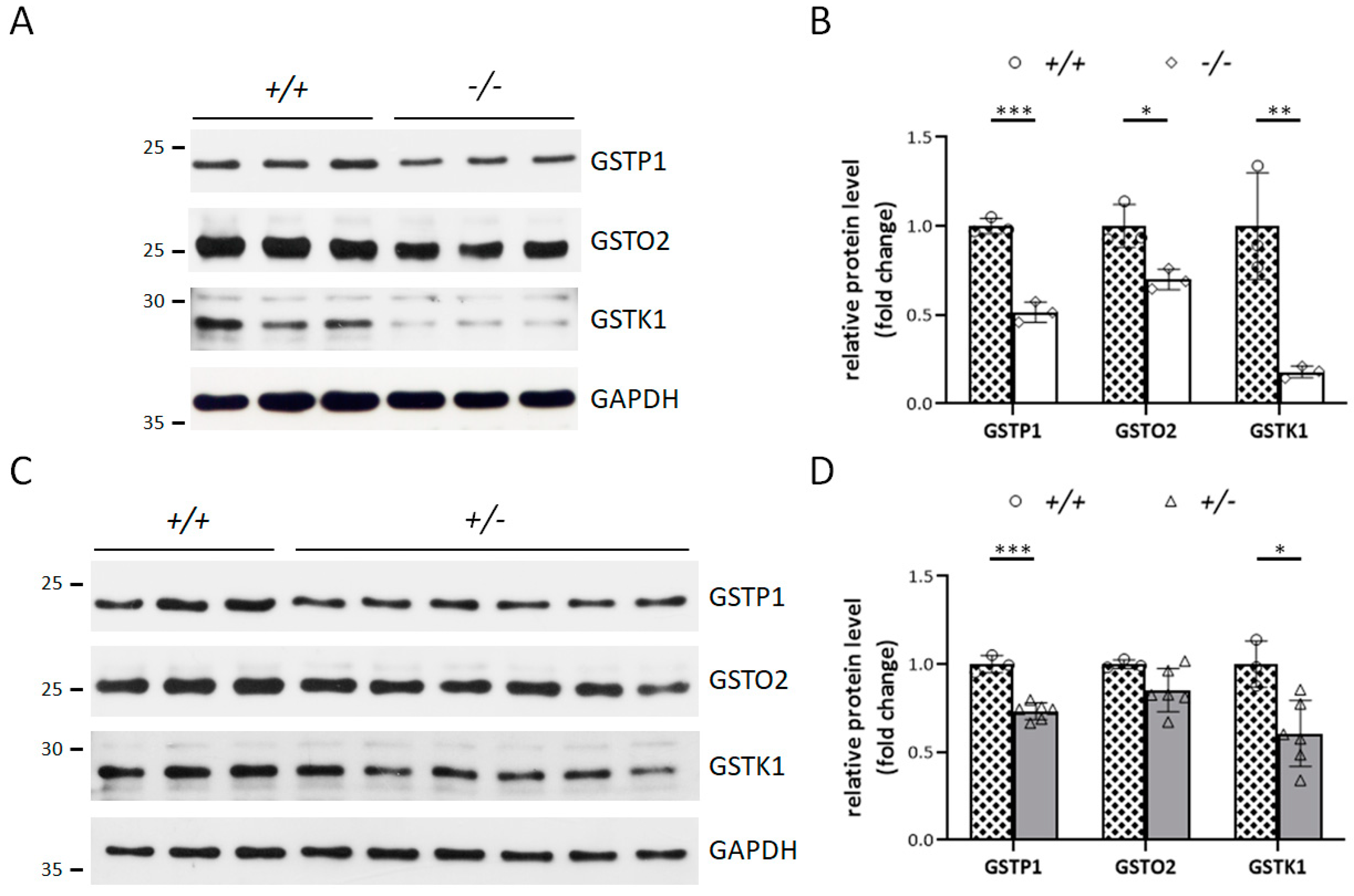 Antioxidants 12 01671 g005