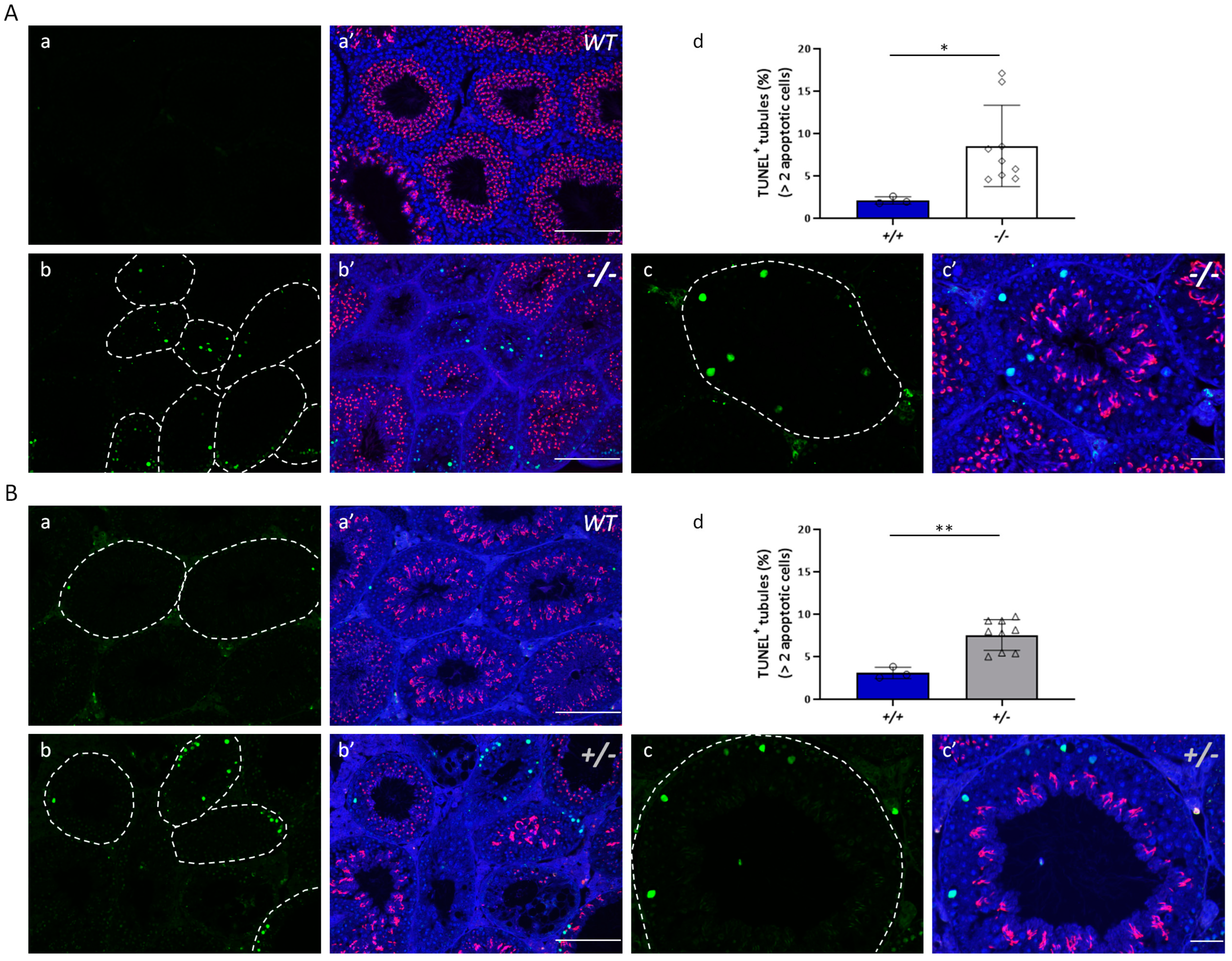 Antioxidants 12 01671 g008
