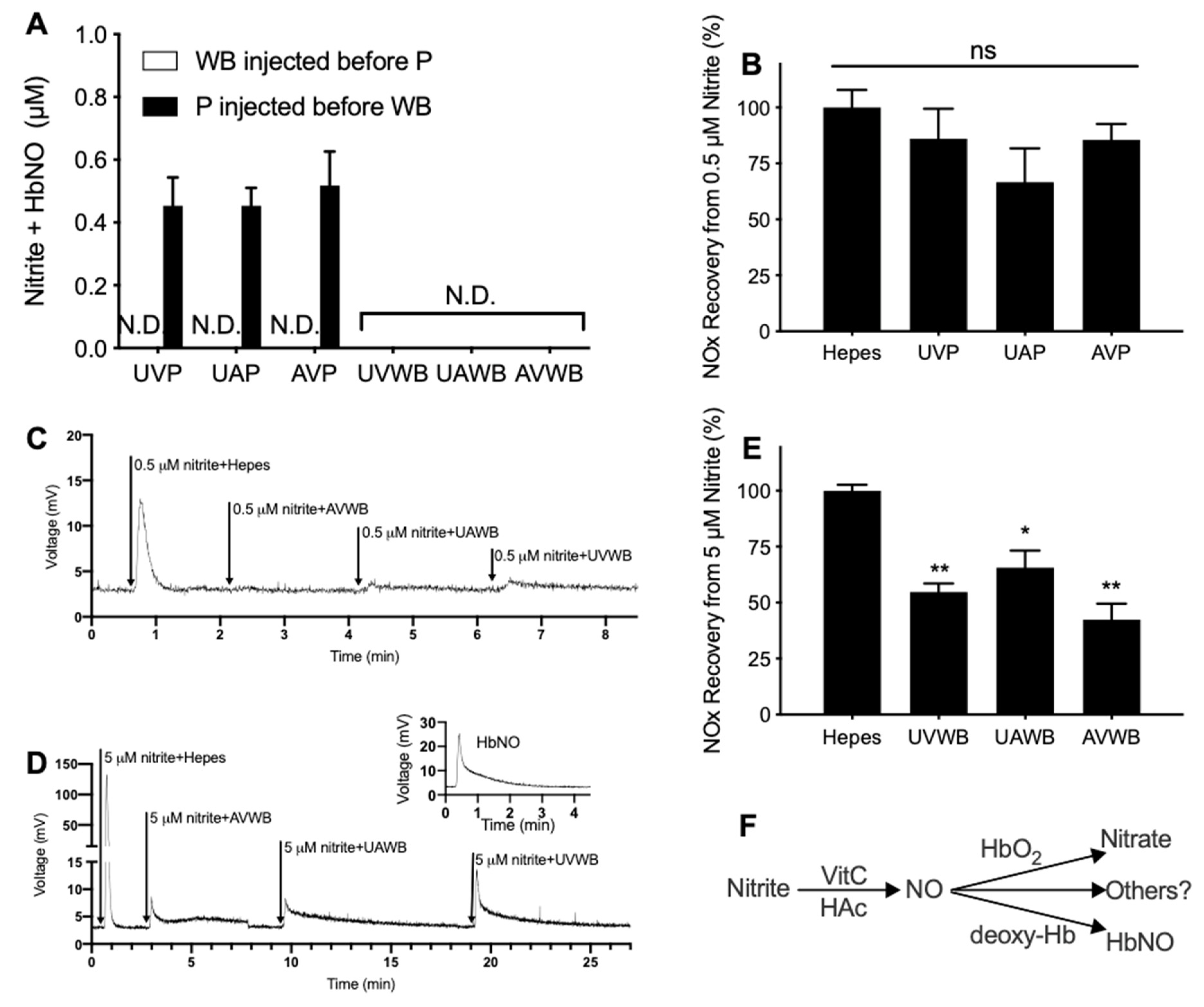 Antioxidants 12 01672 g005