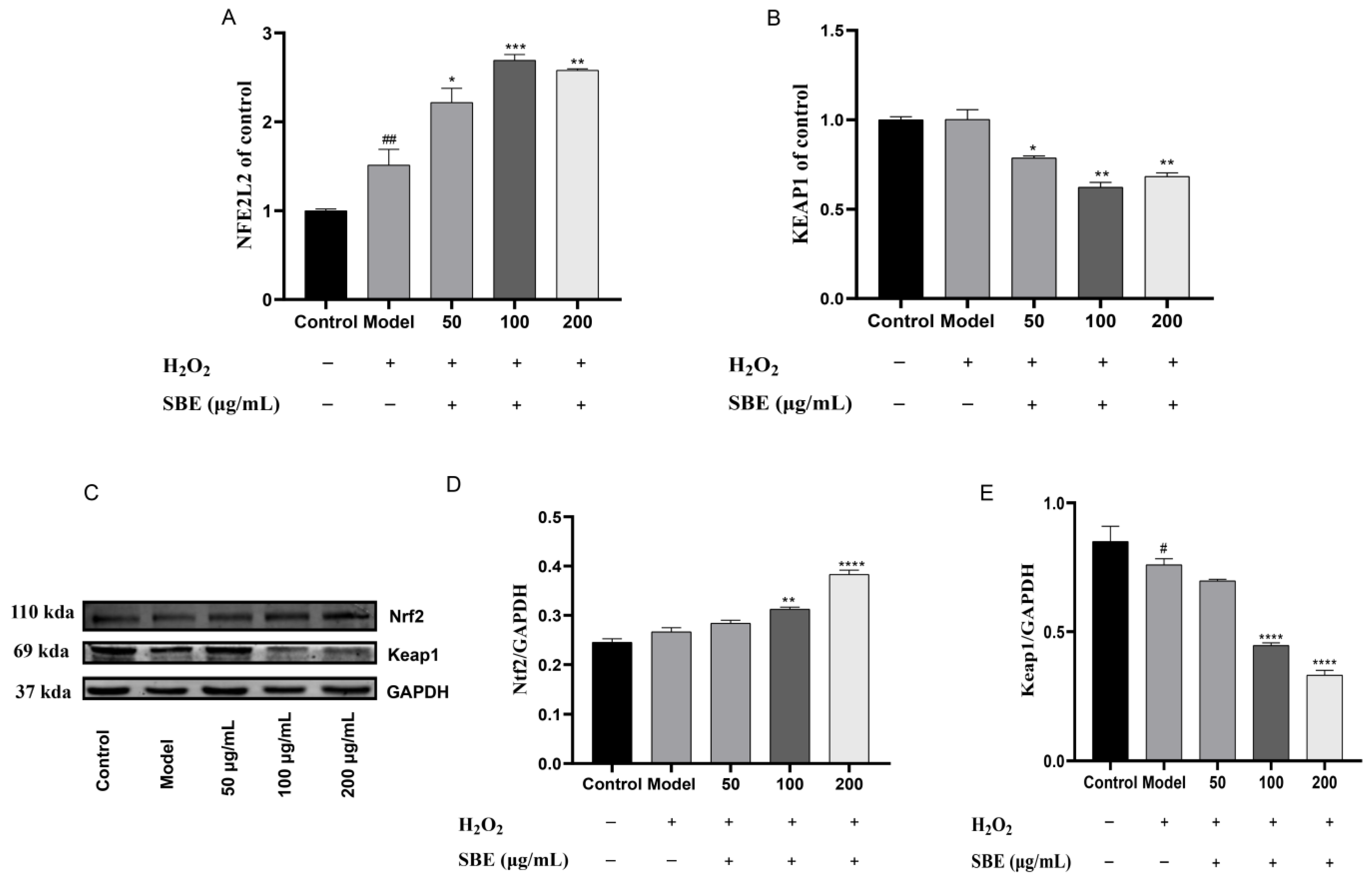 Antioxidants 12 01677 g003