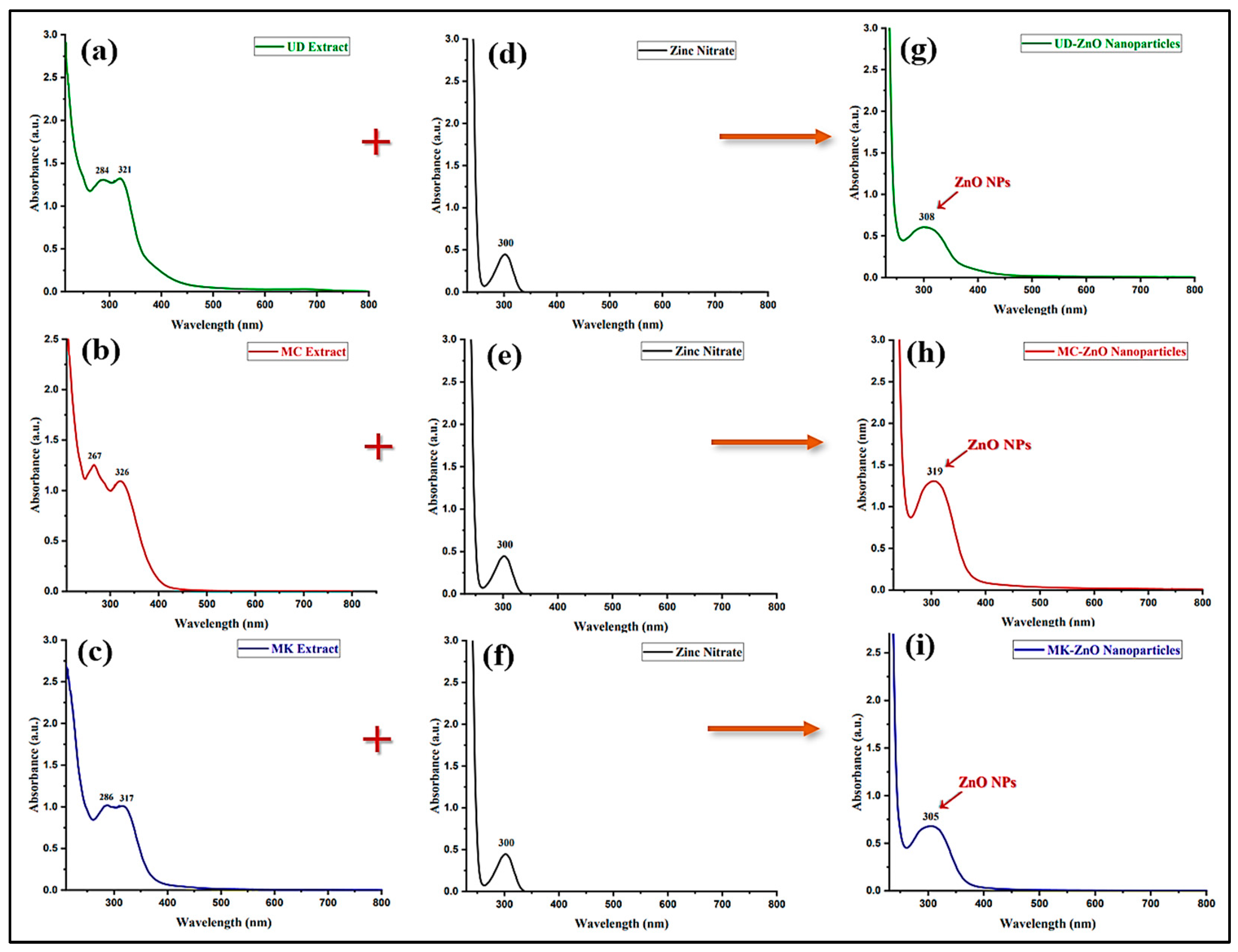 Antioxidants 12 01679 g003