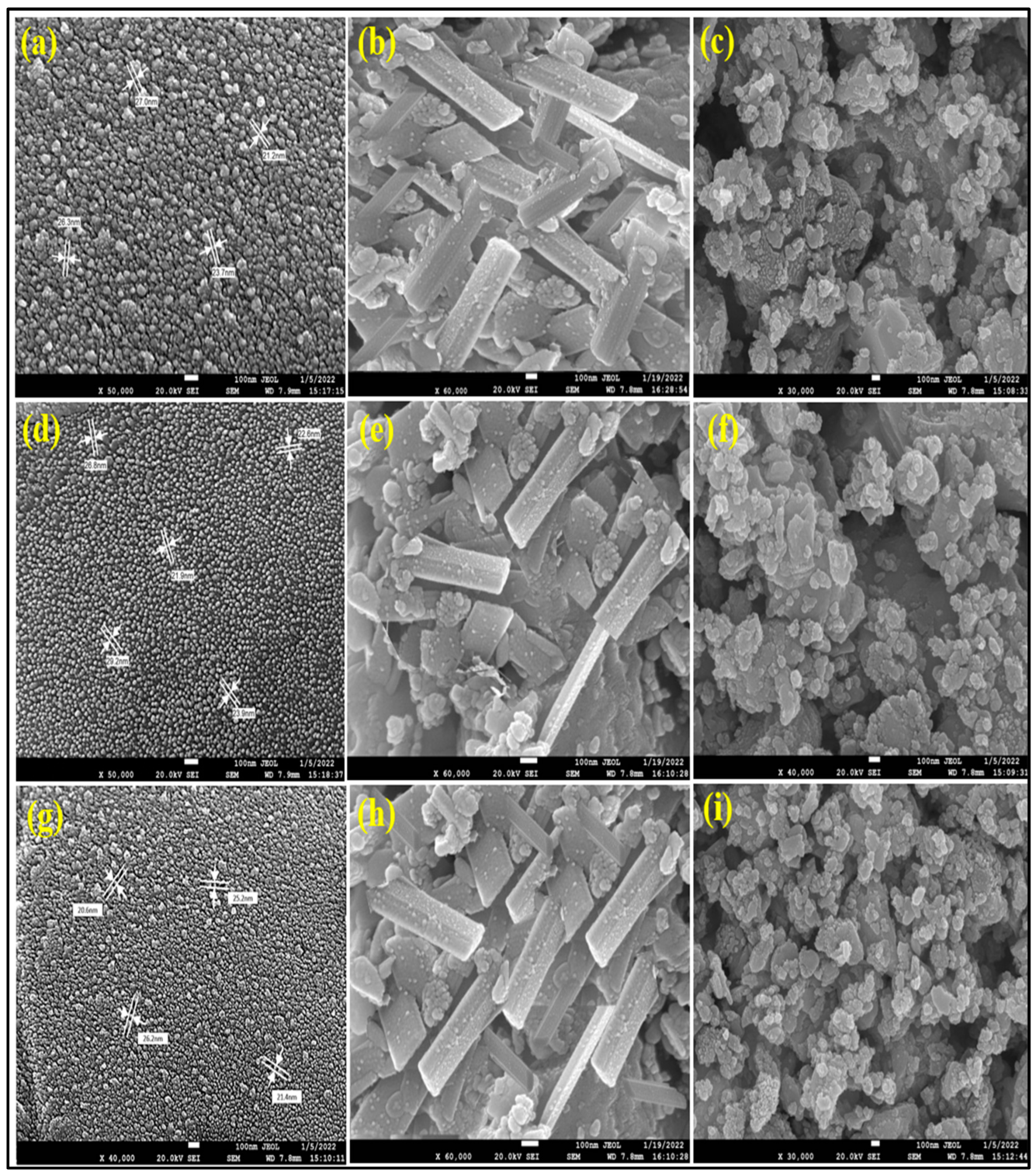 Antioxidants 12 01679 g006