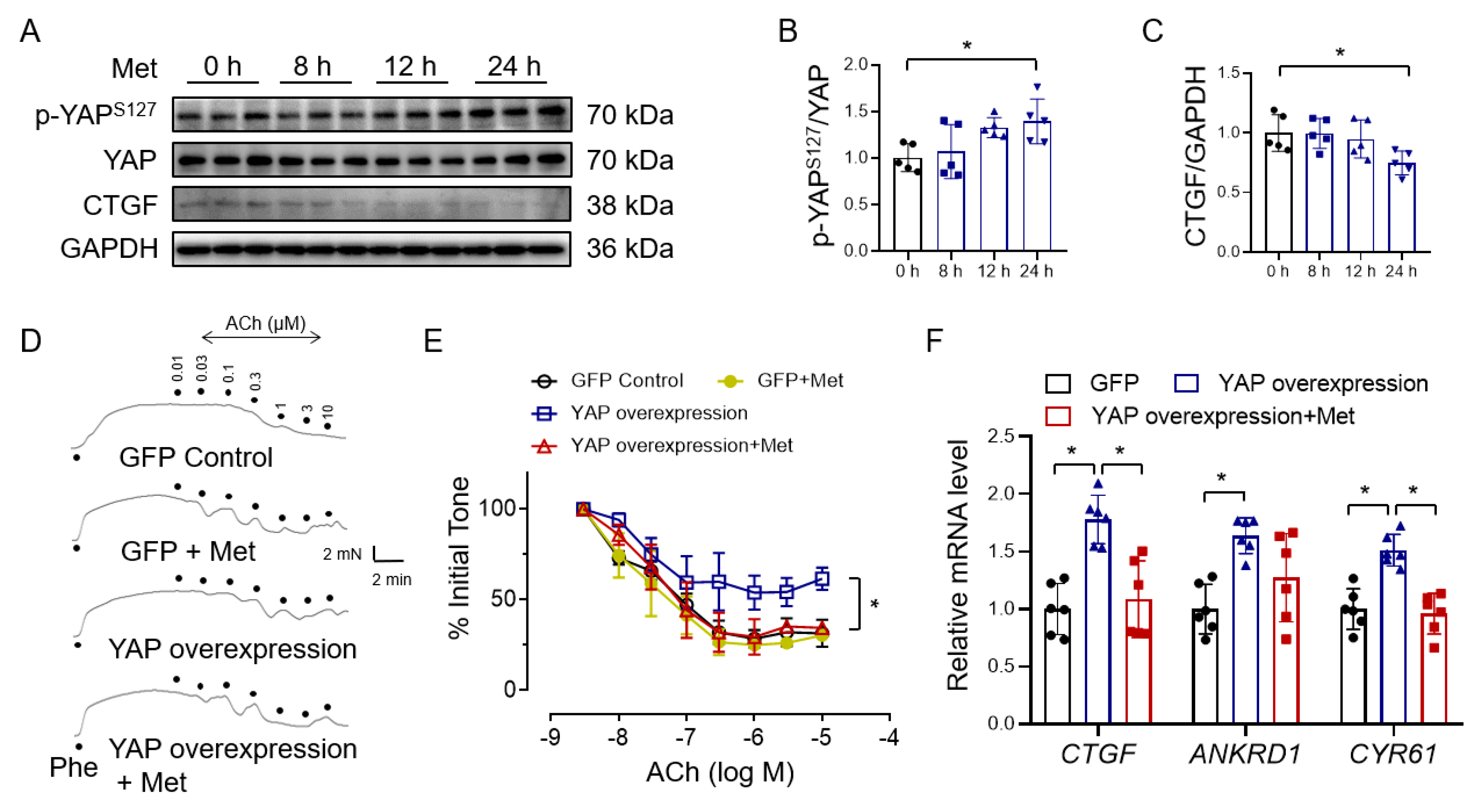 Antioxidants 12 01681 g002 Antioxidants 12 01681 g002