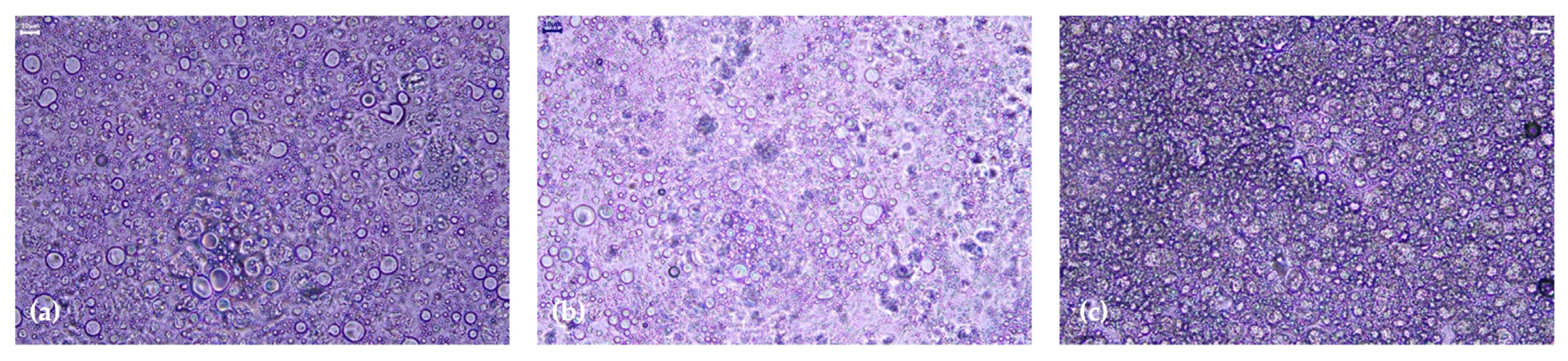 Antioxidants 12 01684 g007