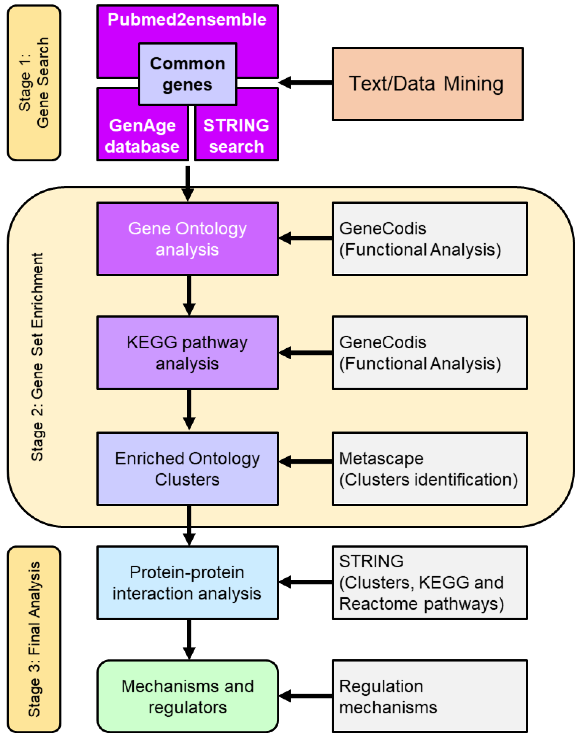 Antioxidants 12 01690 g001