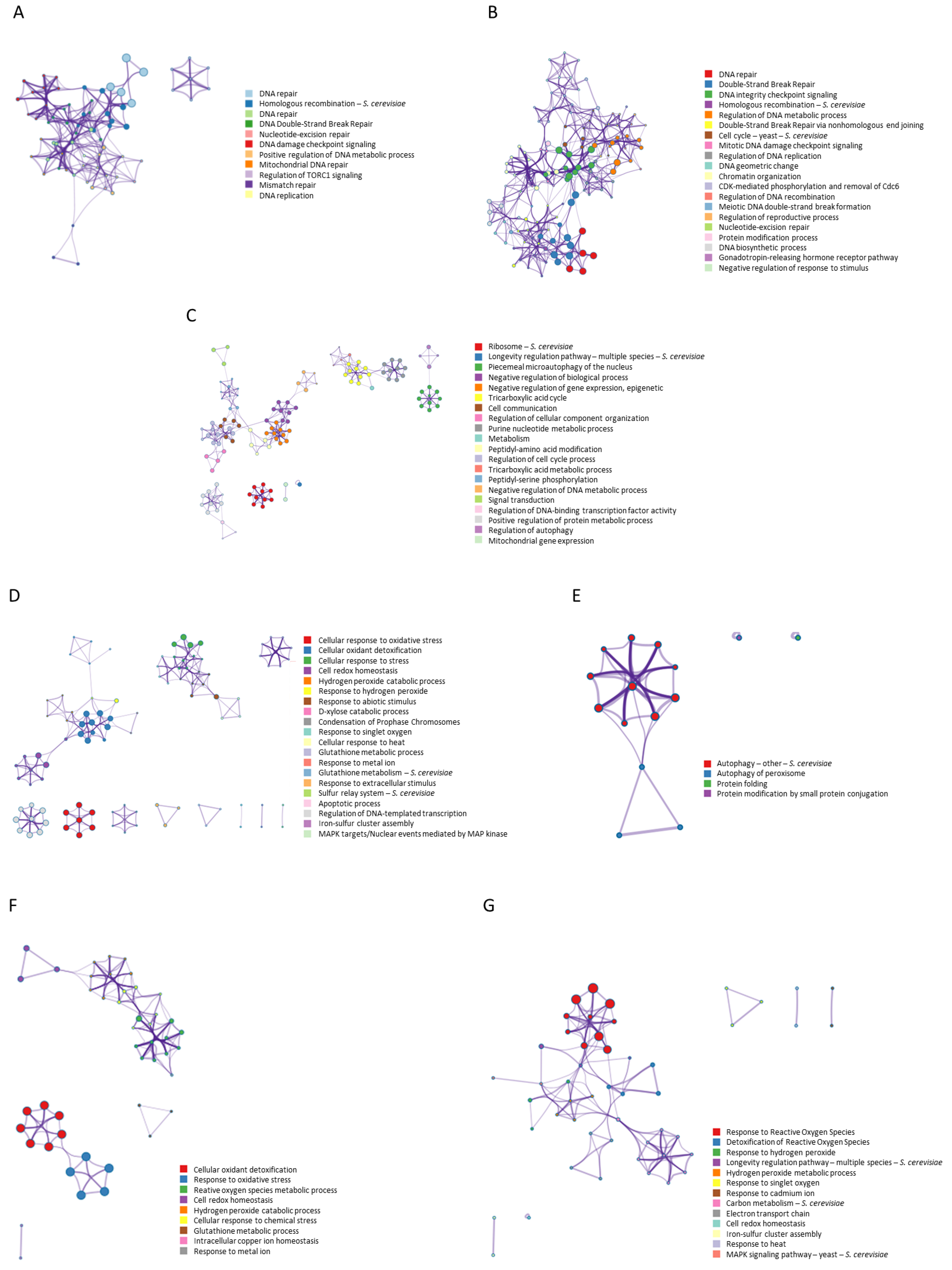 Antioxidants 12 01690 g003