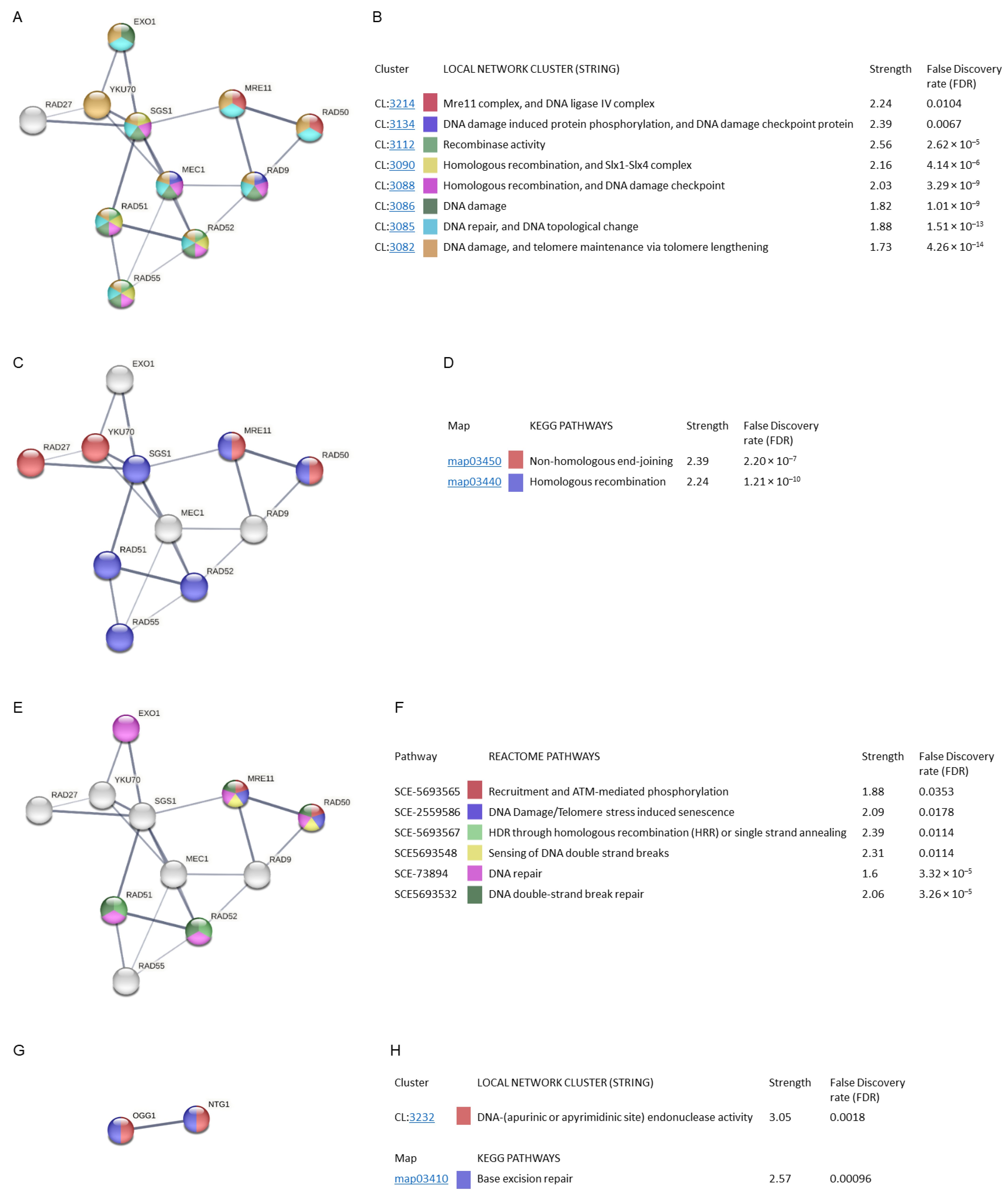 Antioxidants 12 01690 g008