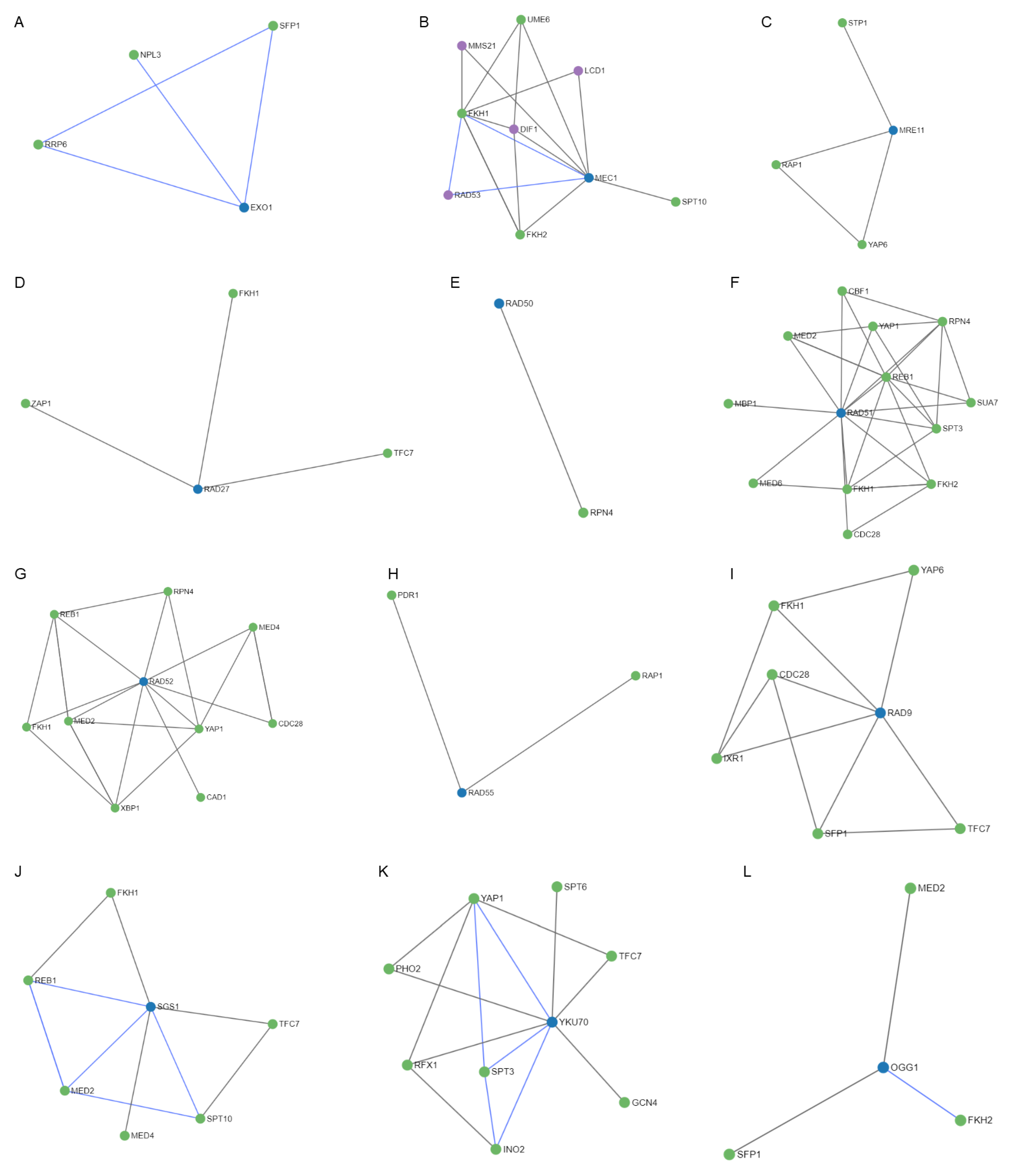 Antioxidants 12 01690 g009a