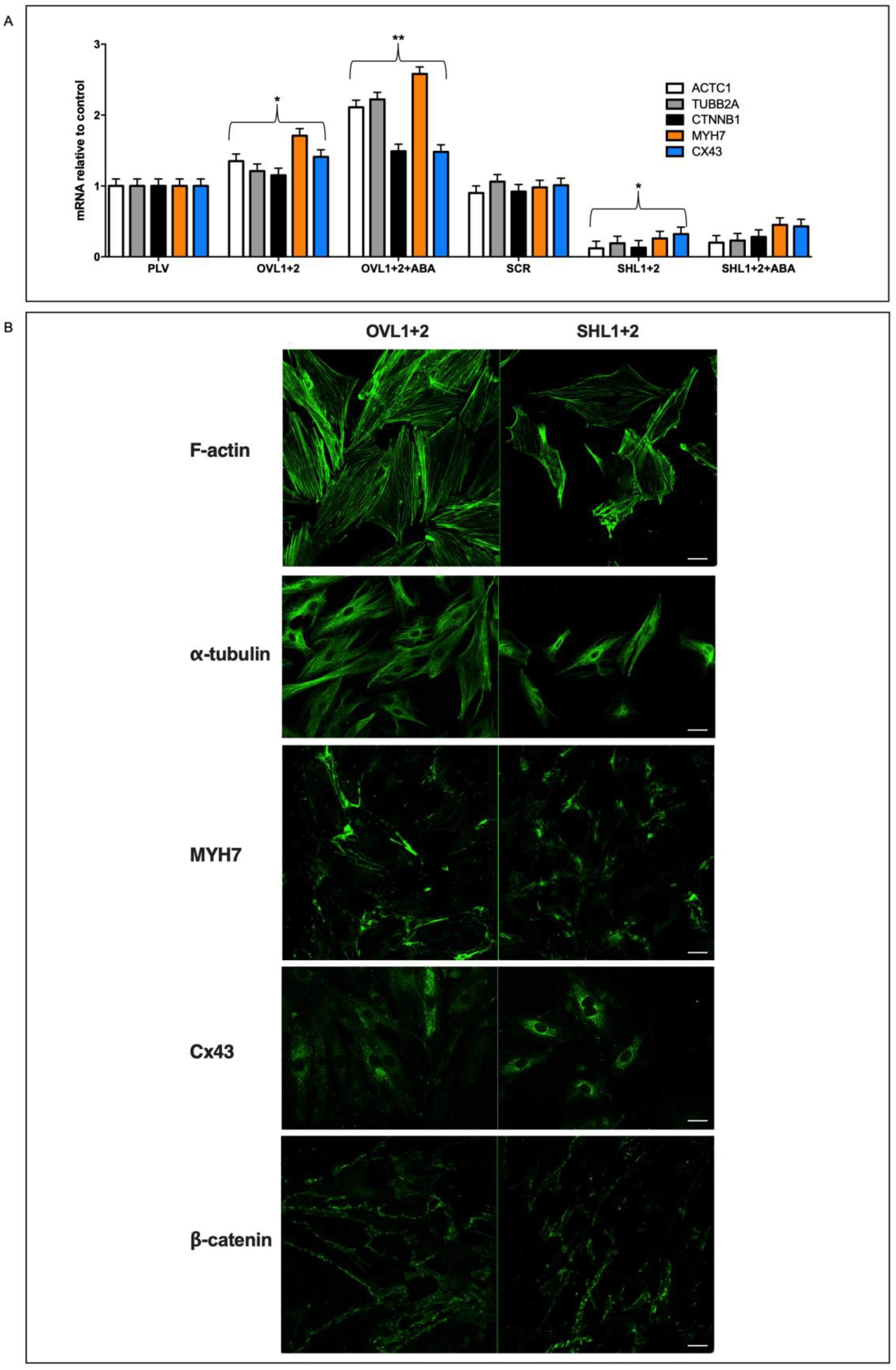 Antioxidants 12 01692 g004