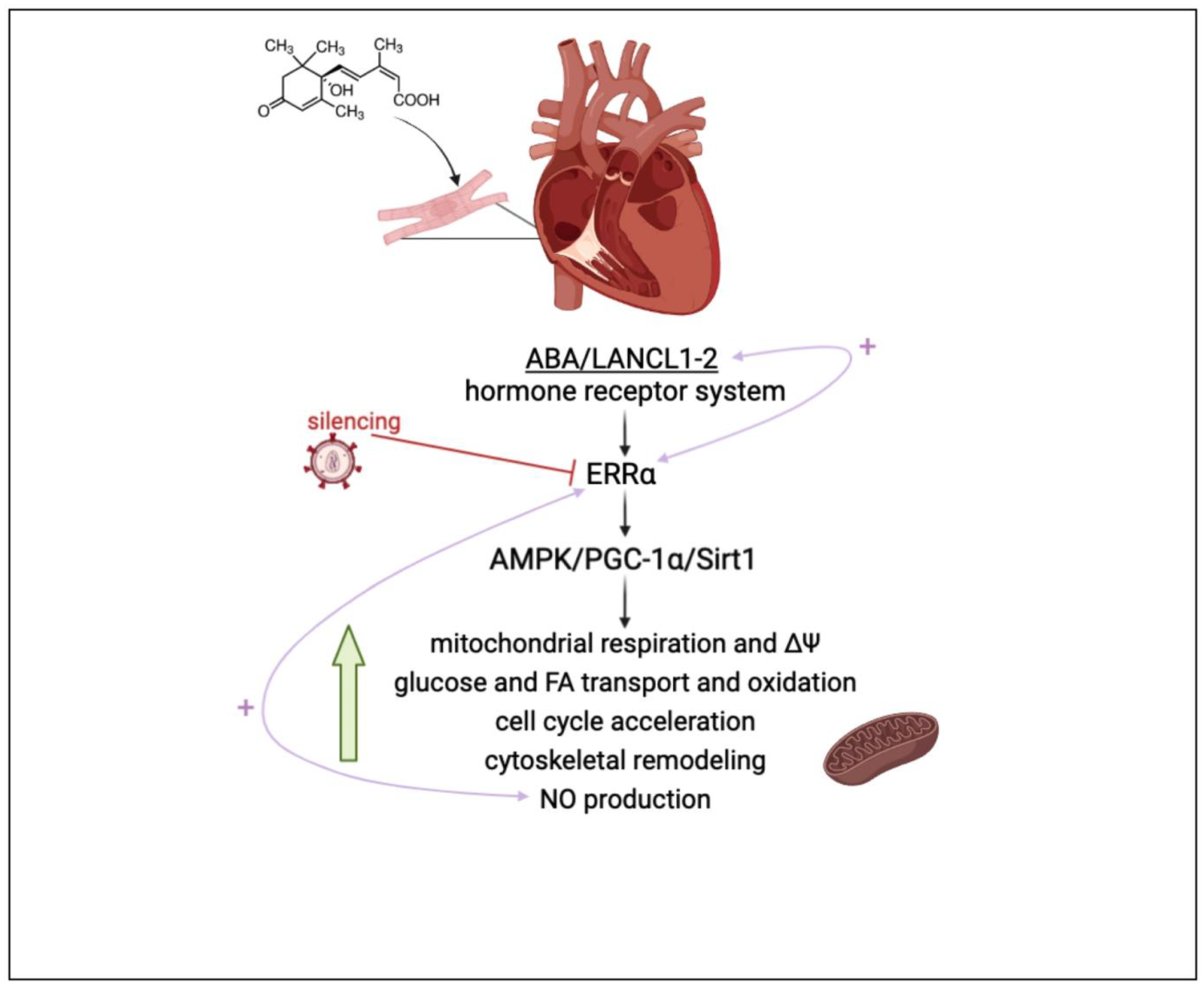 Antioxidants 12 01692 g007