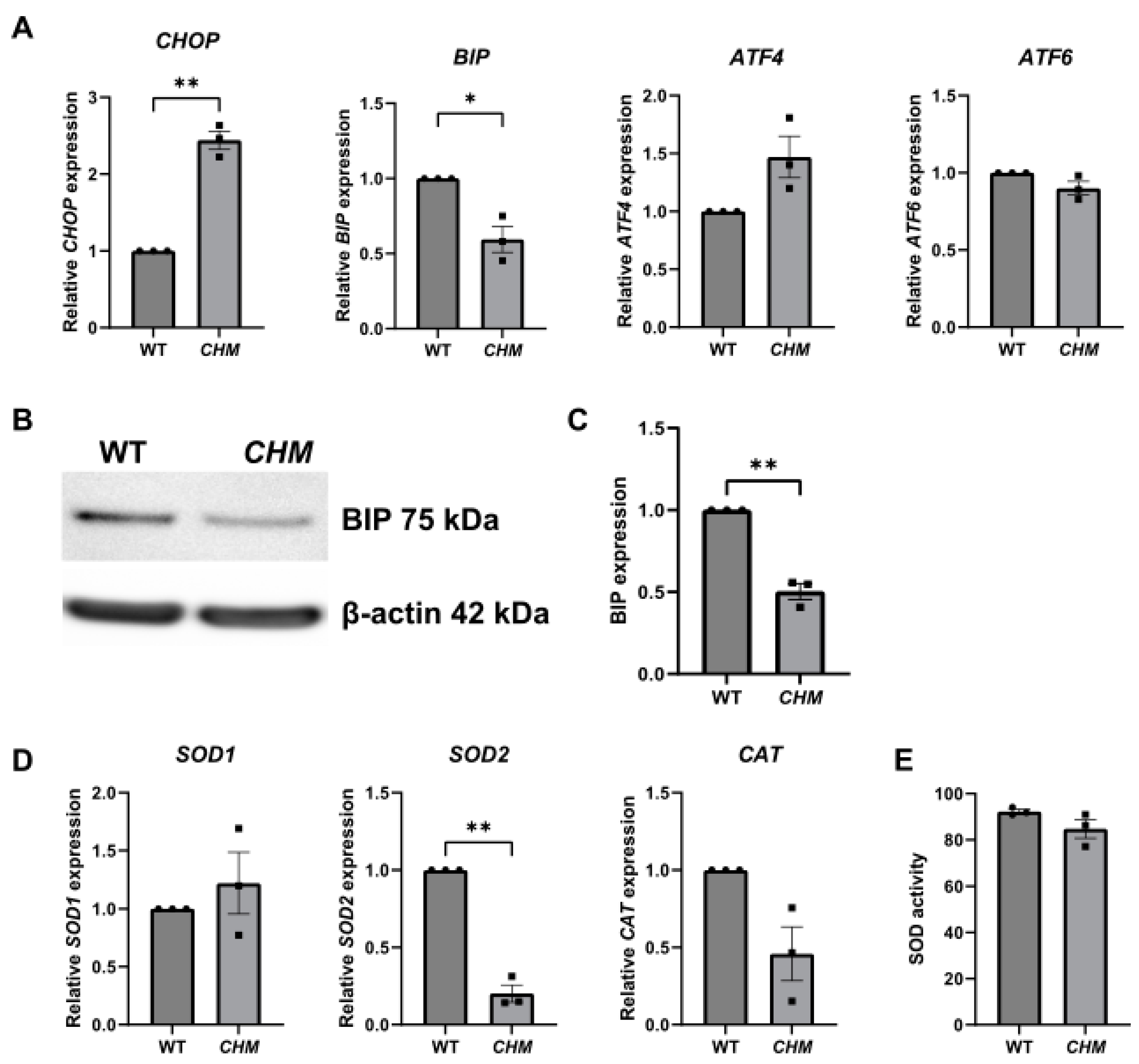 Antioxidants 12 01694 g002