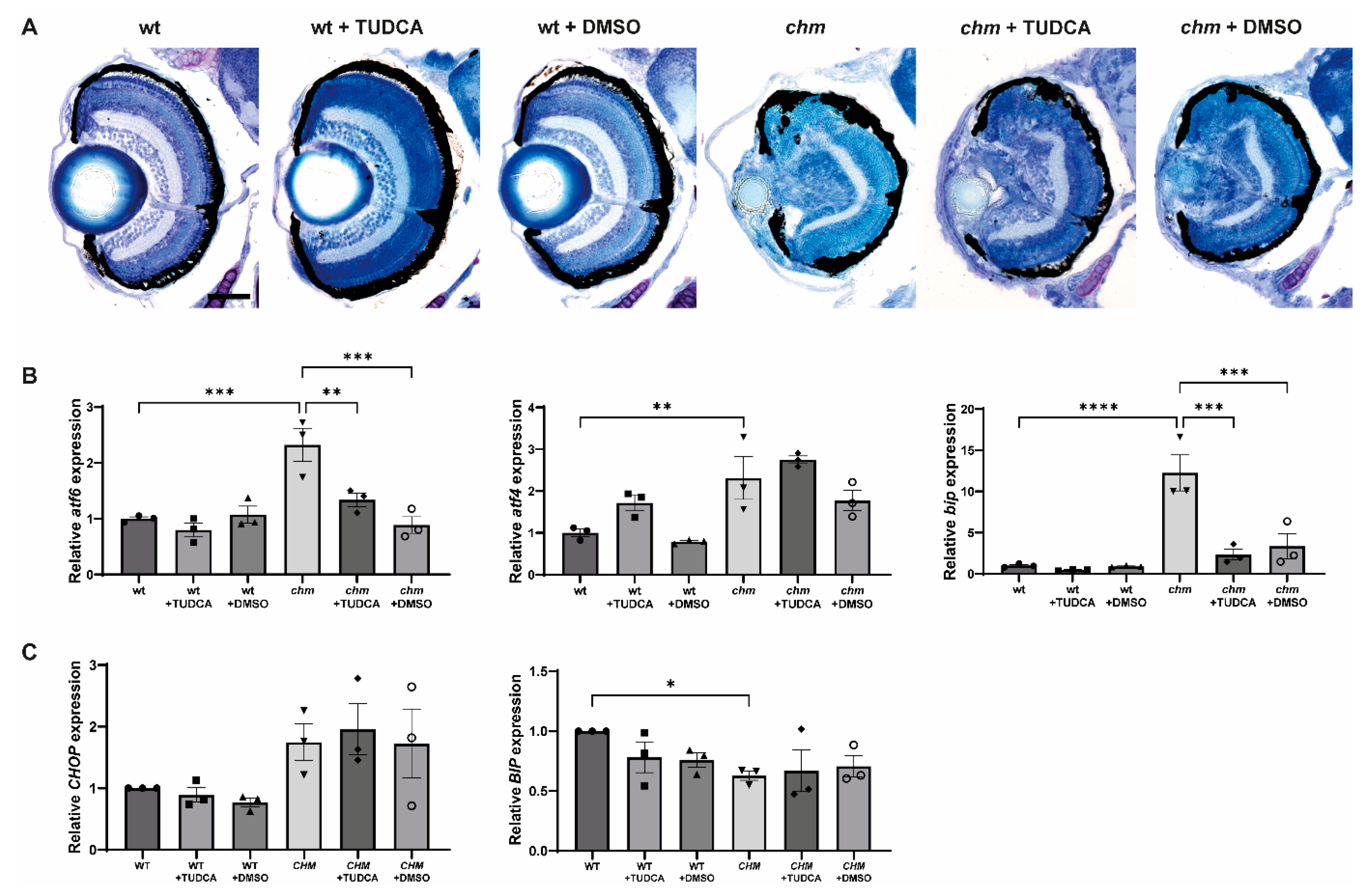 Antioxidants 12 01694 g003