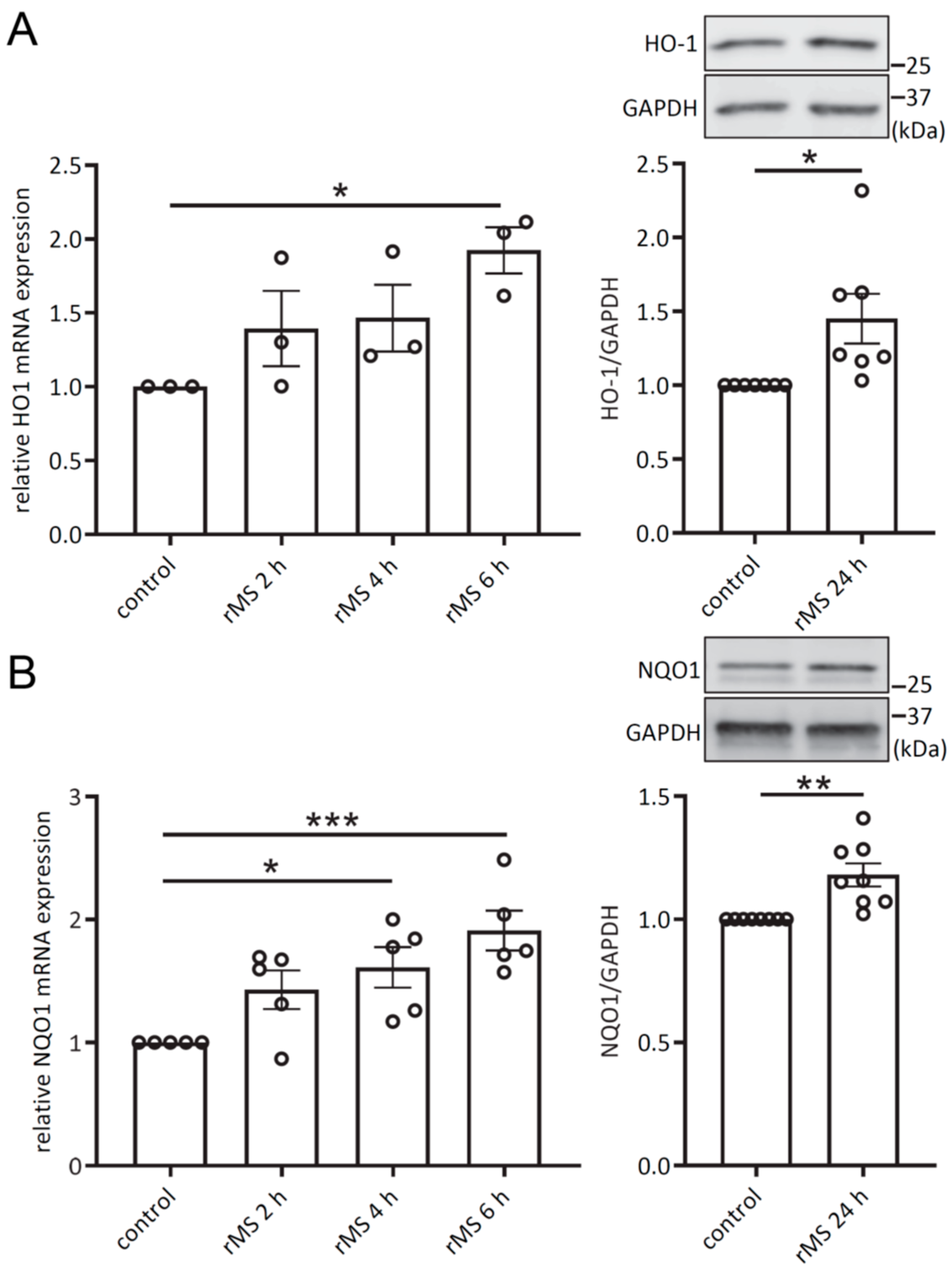 Antioxidants 12 01695 g002