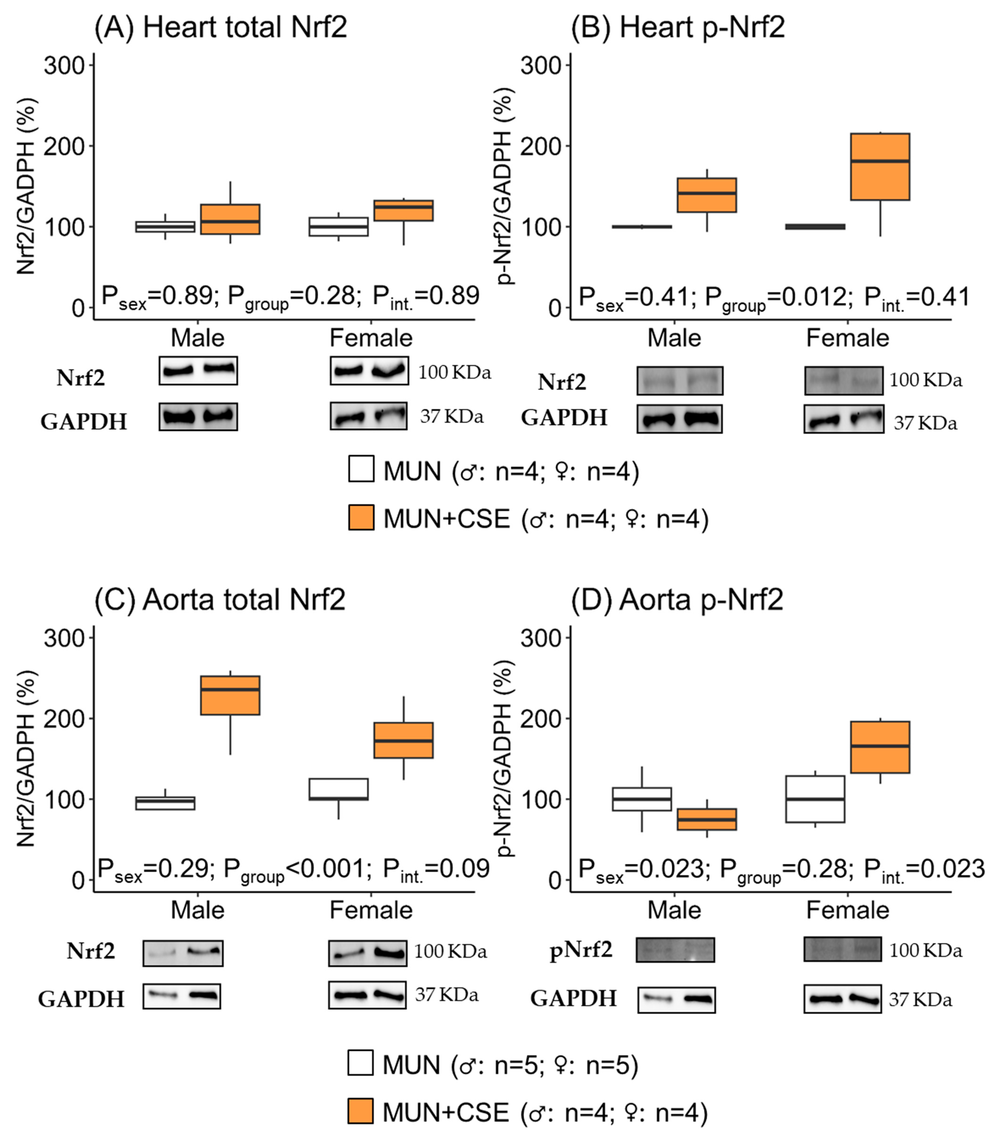 Antioxidants 12 01698 g003