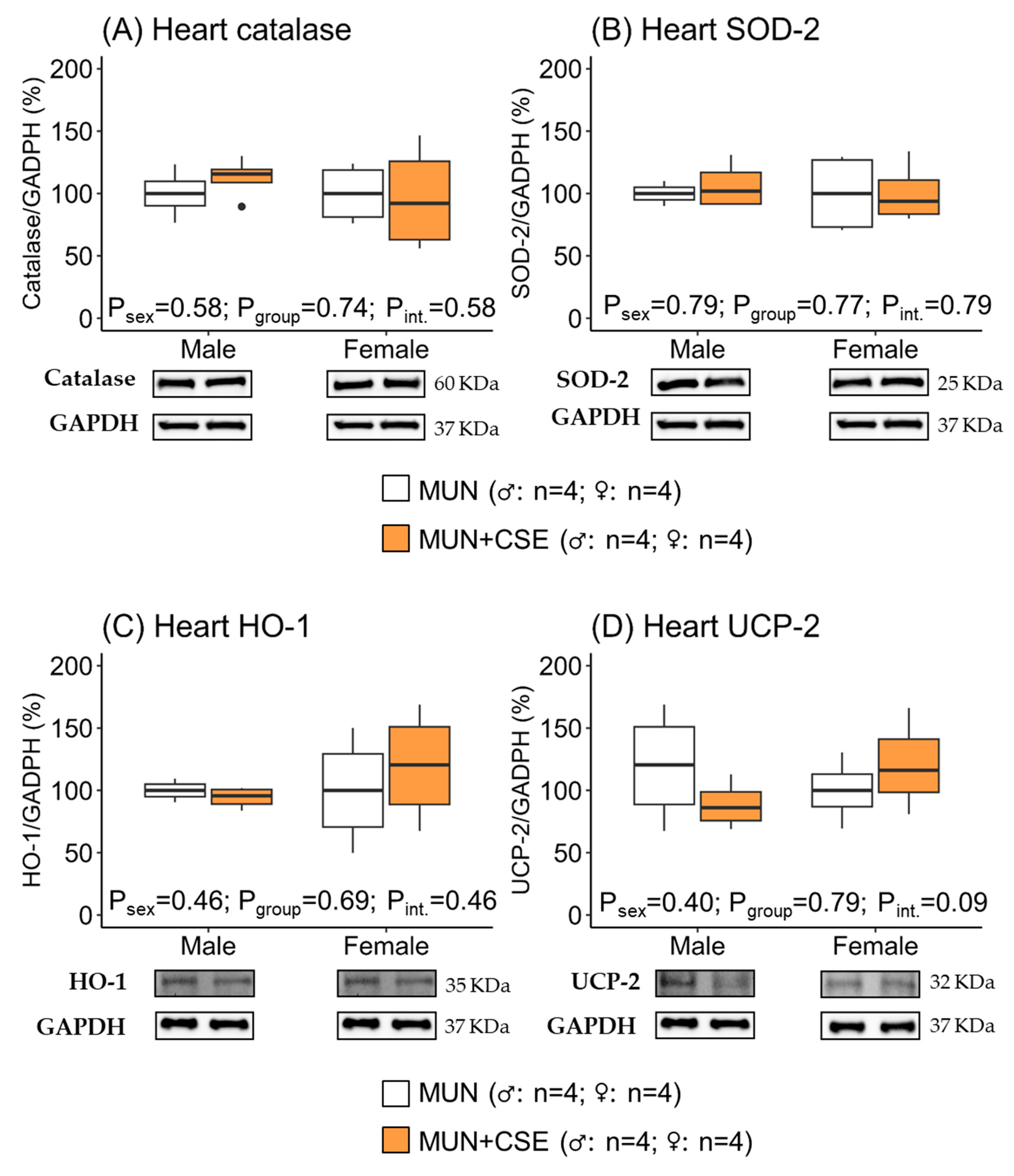 Antioxidants 12 01698 g005